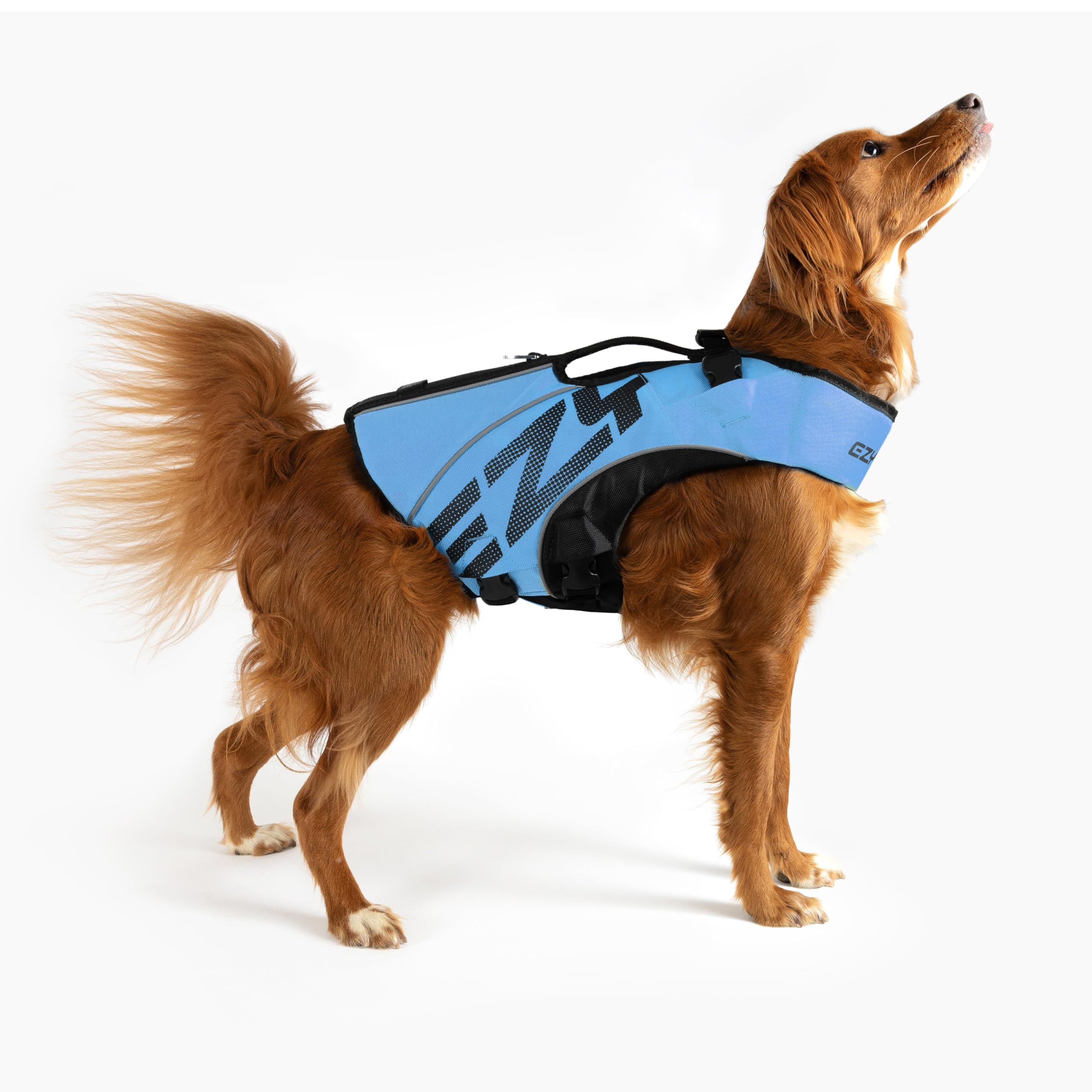 EZYDOG DFD X2 BOOST 犬用ライフジャケット イージードッグ Dog Life Jackets | Our Latest Swim Vest for Dogs