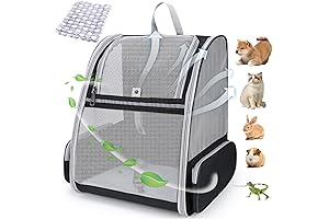 Lollimeow Bubble Cat Backpack: Perfect for Every Adventure