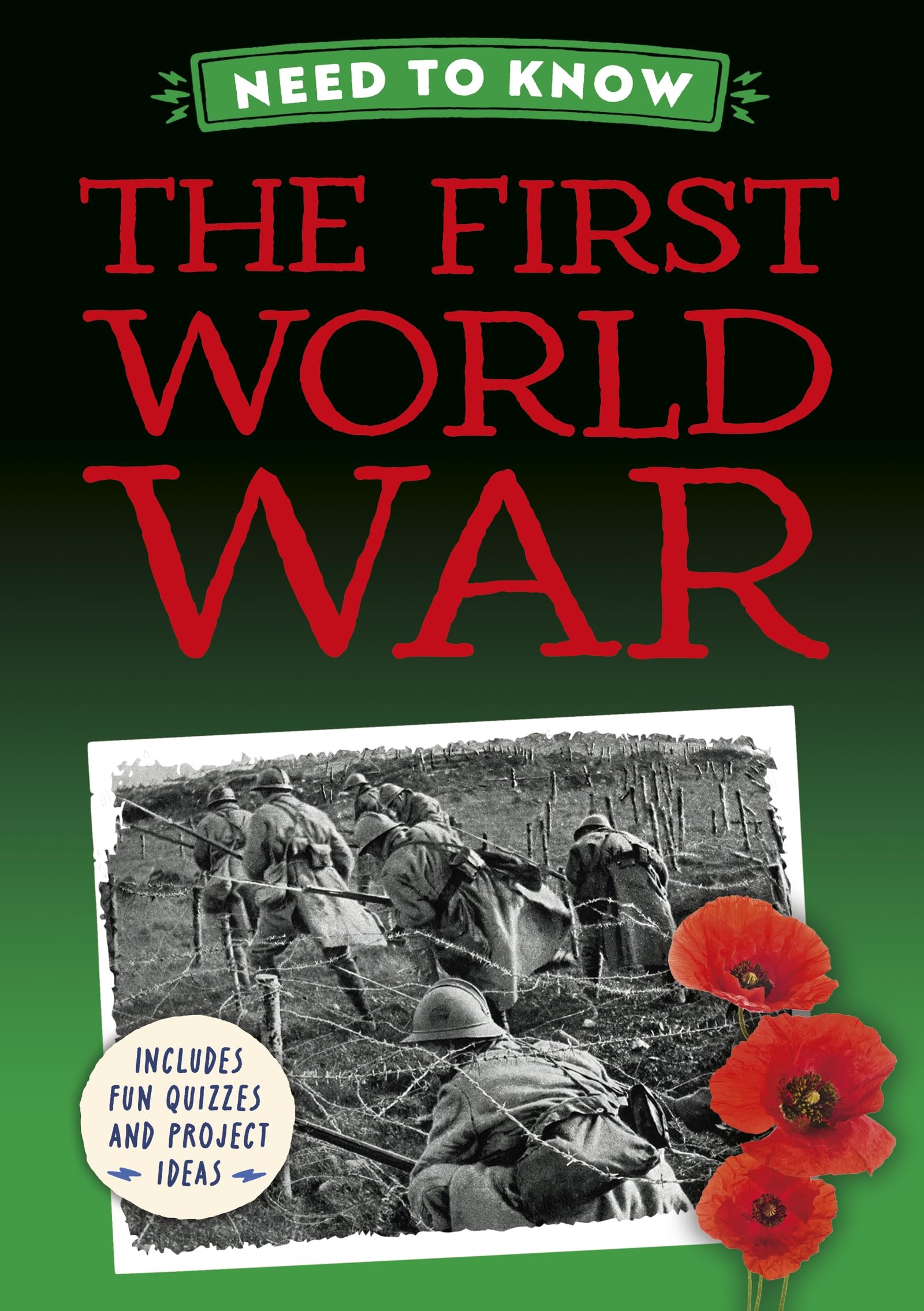 Need to Know: The First World War (Need to Know: History)