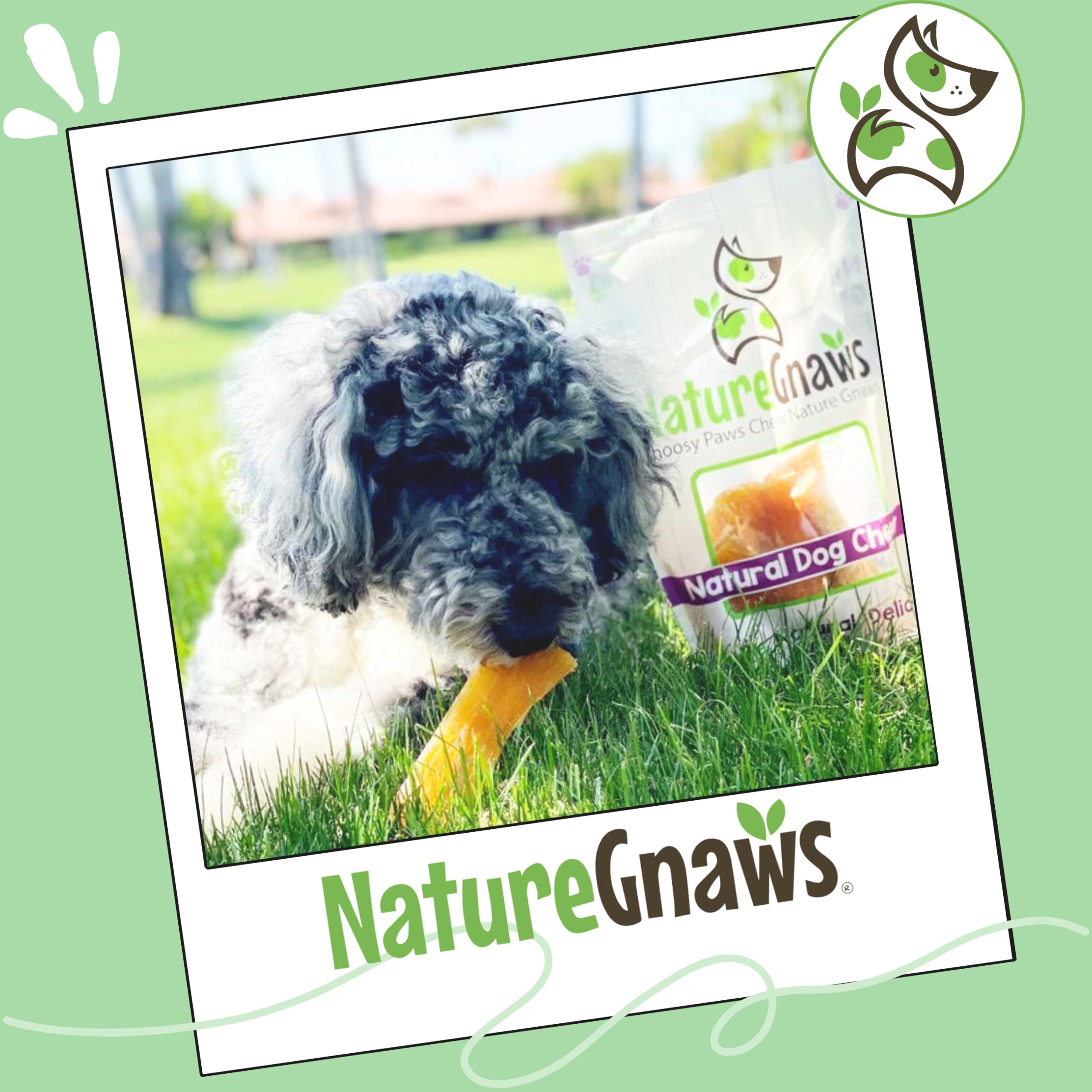 Nature Gnaws Paddywack Sehnen für Hunde – Premium natürliche Rindfleisch-Zahnknochen – Langanhaltende Kau-Leckerlis für mittelgroße und große Hunde – Rohlederfrei
