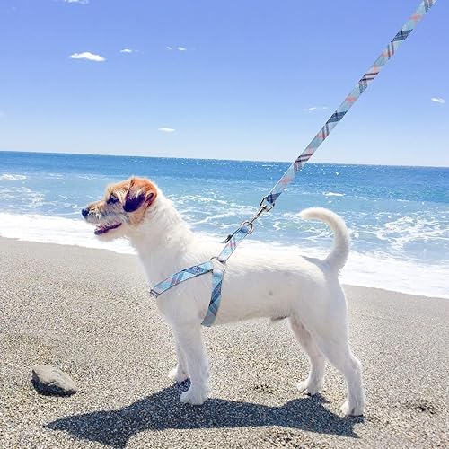 Miniatura 7 de BINGPET Juego de arnés y correa para perro, ajustable sin tirones, a prueba de escape, arnés clásico a cuadros para cachorros y correa para perros