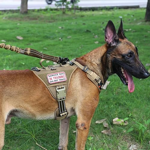 Miniatura 5 de ICEFANG GN8 Arnés táctico para perro de movimiento rápido con 2 hebillas de metal para perros de gran tamaño, chaleco reflectante K9, clip de correa