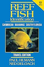 Reef Fish Identification Travel Edition - 2nd Edition: Caribbean Bahamas South Florida