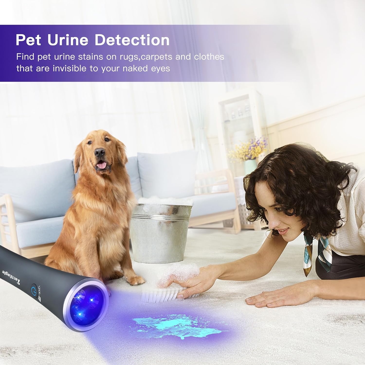 UV Flashlight Black Light, 365nm Blacklight Pet Urine Detector, Rechargeable Blacklight Flashlight for Dog/Cat Urine Stains, Bed Bug, Resin Curing, Scorpions Finder, Grey