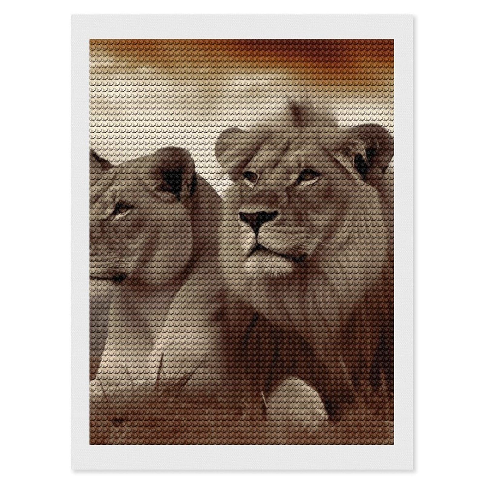 FodPand Diamond Art Kits for Adults, 5D Aurora Diamond Painting Kits for Beginners, African Lion and Lioness DIY Full Drill Dots Gem Art Paint Crafts for Home Wall Decor 12"x16"