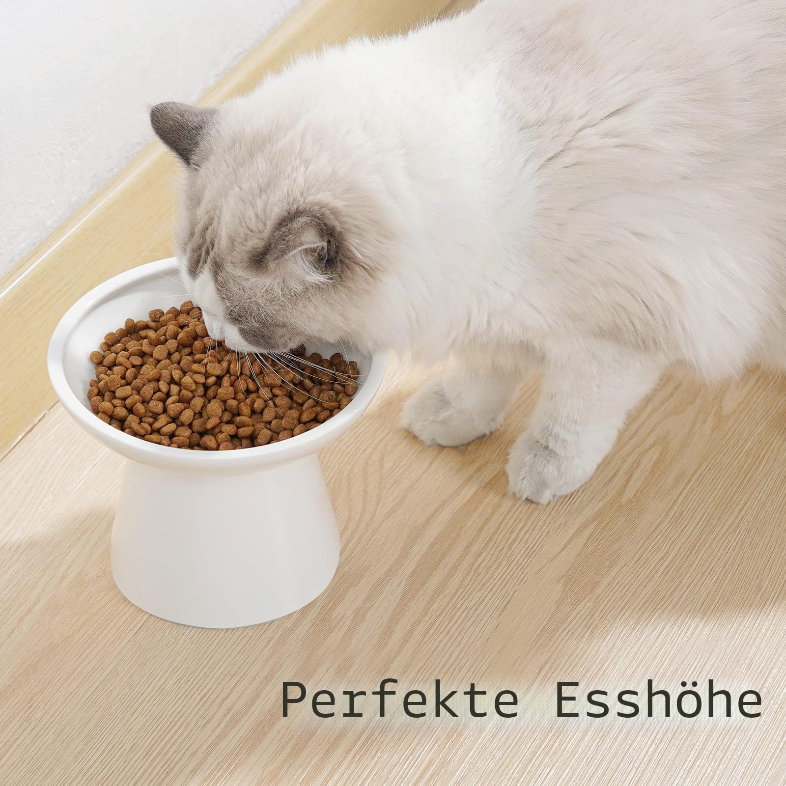 CEEFU Extra breite Katzennäpfe - keramischer Katzennapf 15,7cm Erhöhter Flacher Boden Katzennapf, Schnurrhaar-Ermüdung, blei- und kadmiumfrei, 12,7cm Gute Höhe für Katzenfütterung, weiß