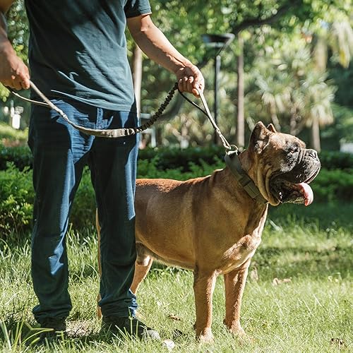 Miniatura 9 de EXCELLENT ELITE SPANKER Correa militar para perro táctico espacial de aluminio, clips de gancho elásticos para perro, correa táctica para perro,