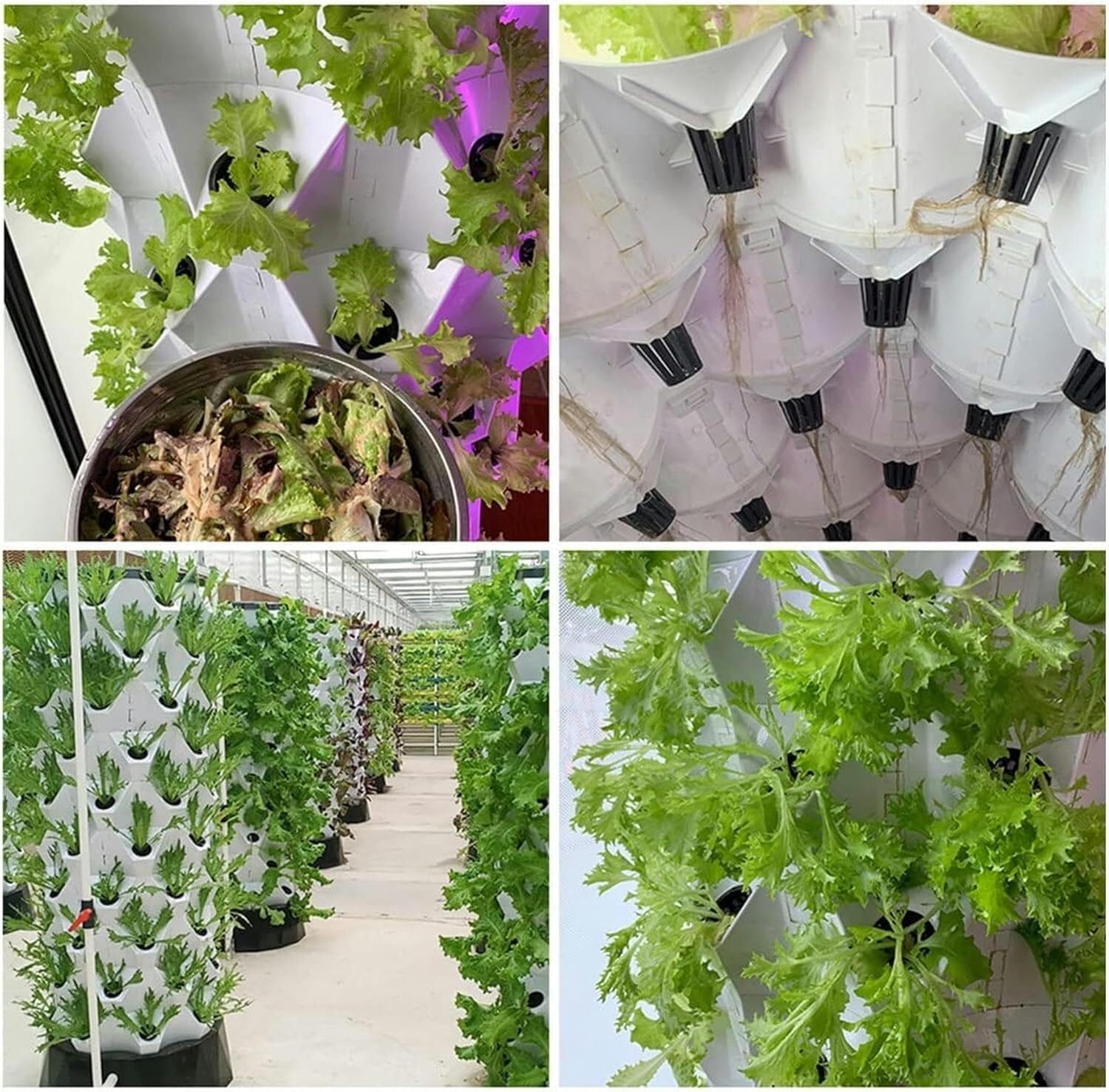 Arrosage Automatique Tour hydroponique for Fruits et légumes à Base de Plantes, kit de Culture aquaponique de Plantes, Lits et Sacs de semis(6 Layers)