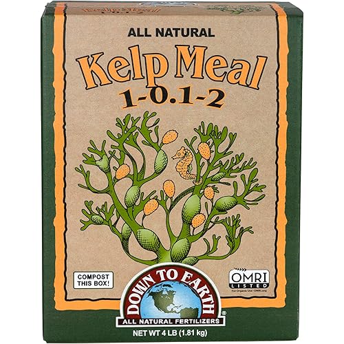 Down to Earth Organic Kelp Meal 1-0.1-2, 4 lb – All-Natural Soil Conditioner and Fertilizer