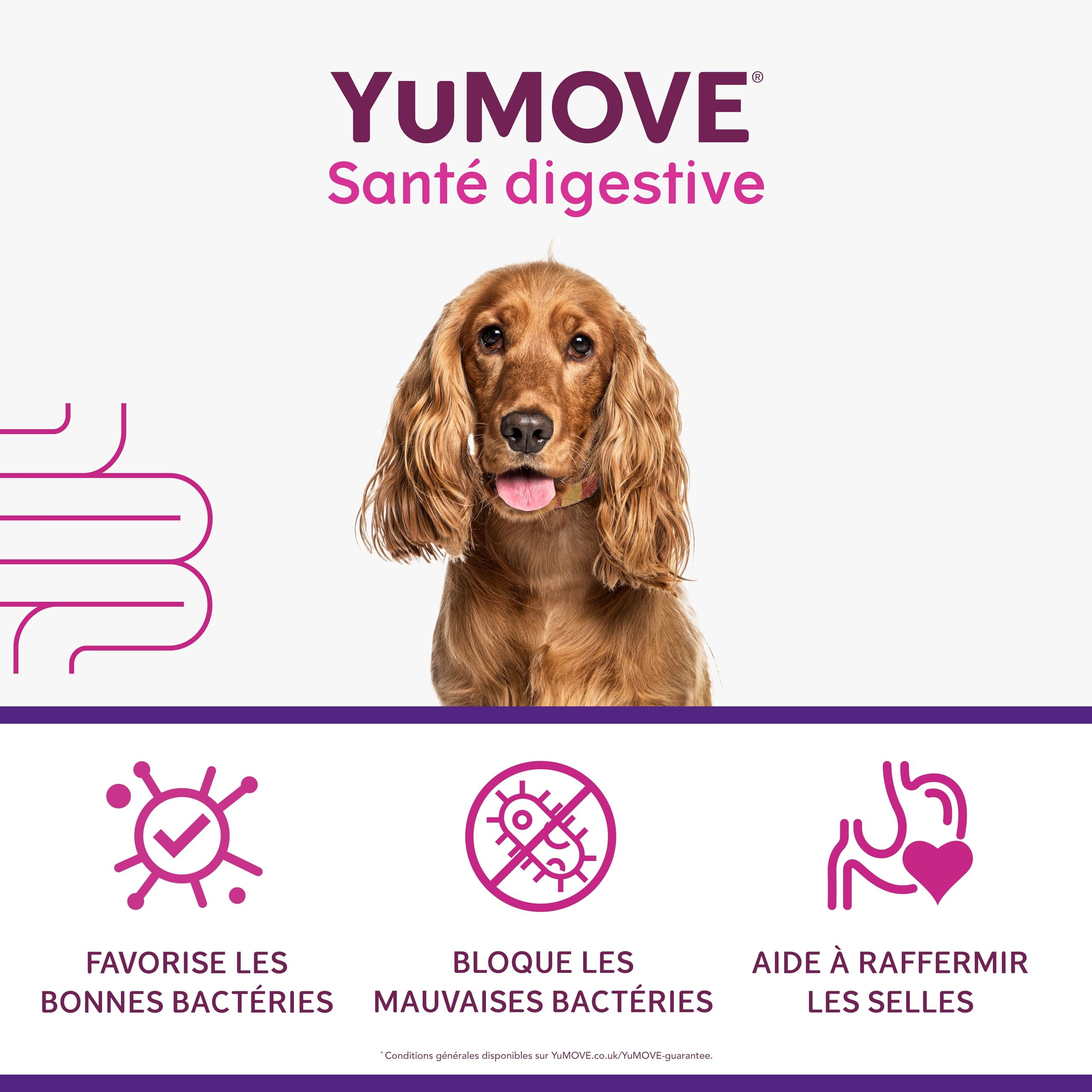 YuMOVE Pré et Probiotique Chien 120 Comprimés - 200M+ Bactéries Probiotiques E. faecium & Complexe ActivBio avec Bêta‑Glucanes - Probiotiques Flore Intestinale Chien pour Une Meilleure Digestion