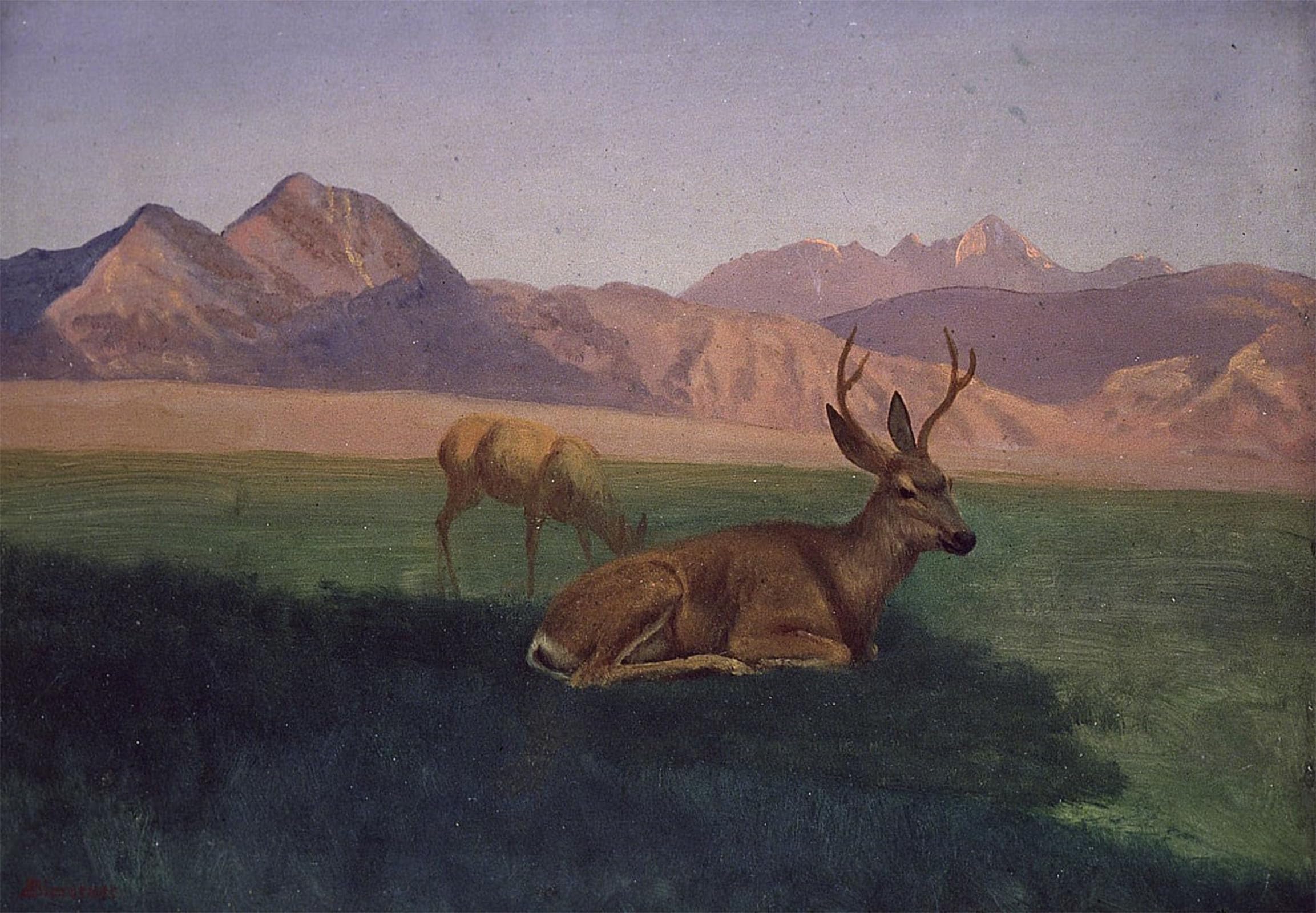 SERENDIPITP Abstract Painting Mural Print Picture Wall Decor Painting Deer by Albert Bierstadt Vintage Wall Artwork for Home Decor 60x90cm