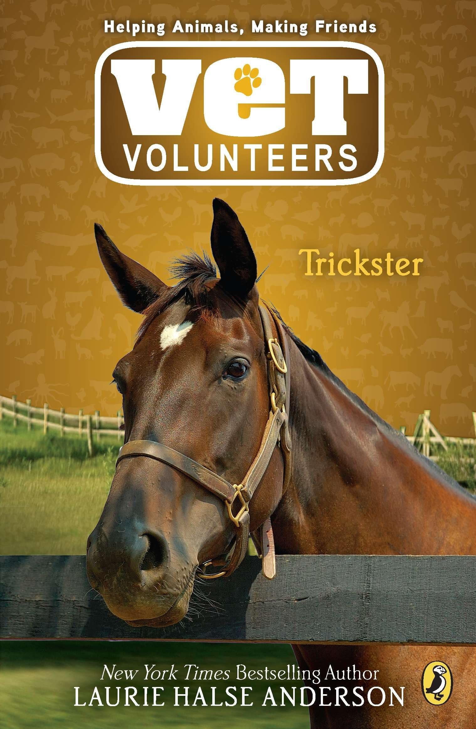 Trickster (Vet Volunteers)