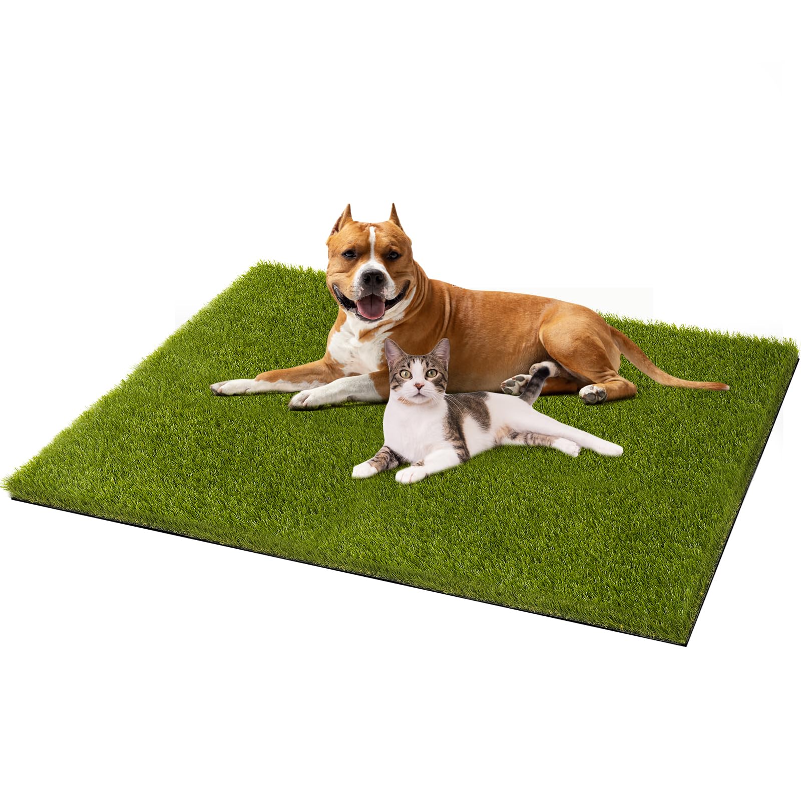 CooRug Artificial Grass