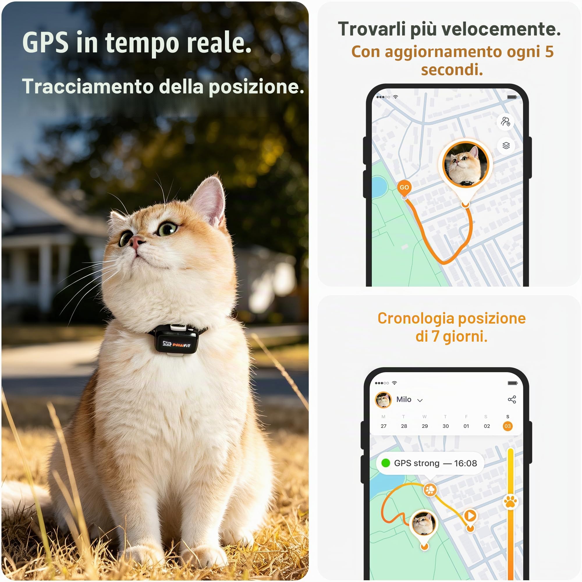 Pawfit Localizzatore GPS Lite per Gatti 4G | Monitoraggio in tempo reale | Cronologia posizioni | Portata illimitata | Collare sicurezza incluso | Grigio lilla
