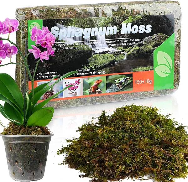 Doter Dried Forest Moss for Plants (10 qt / 2 pcs), Sphagnum Potting Moss for Various Plants, Including Orchids, Carnivorous Plants, Succulents, Garden Flowers, and Reptiles