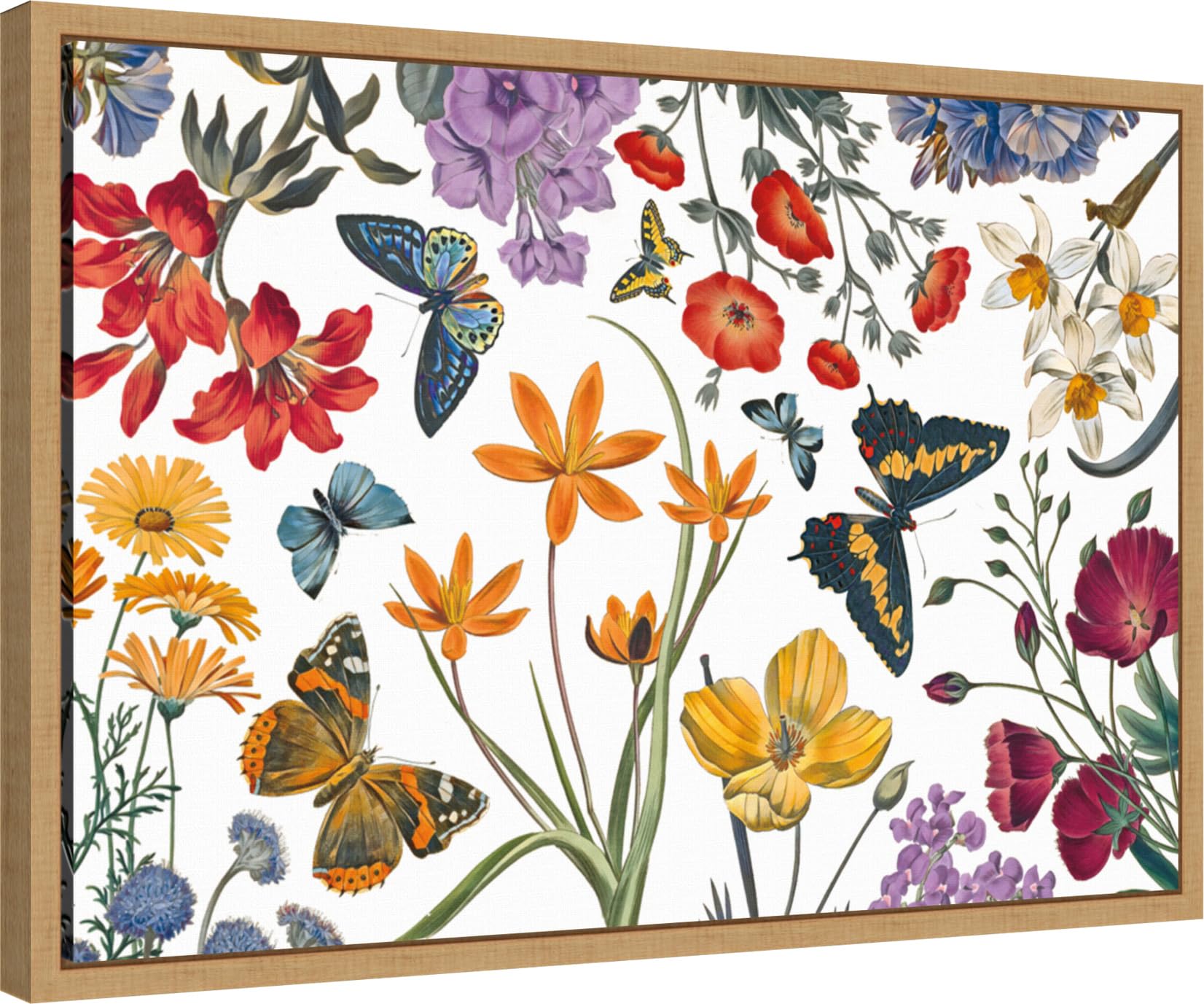 Amanti Art Framed Canvas Wall Art 16x23 Butterfly Garden VI by Wild Apple Portfolio, Framed Wall Art Canvas, Flowers Artwork, Modern Decor, Medium Poster Painting for Living Room, Bedroom, Bathroom,