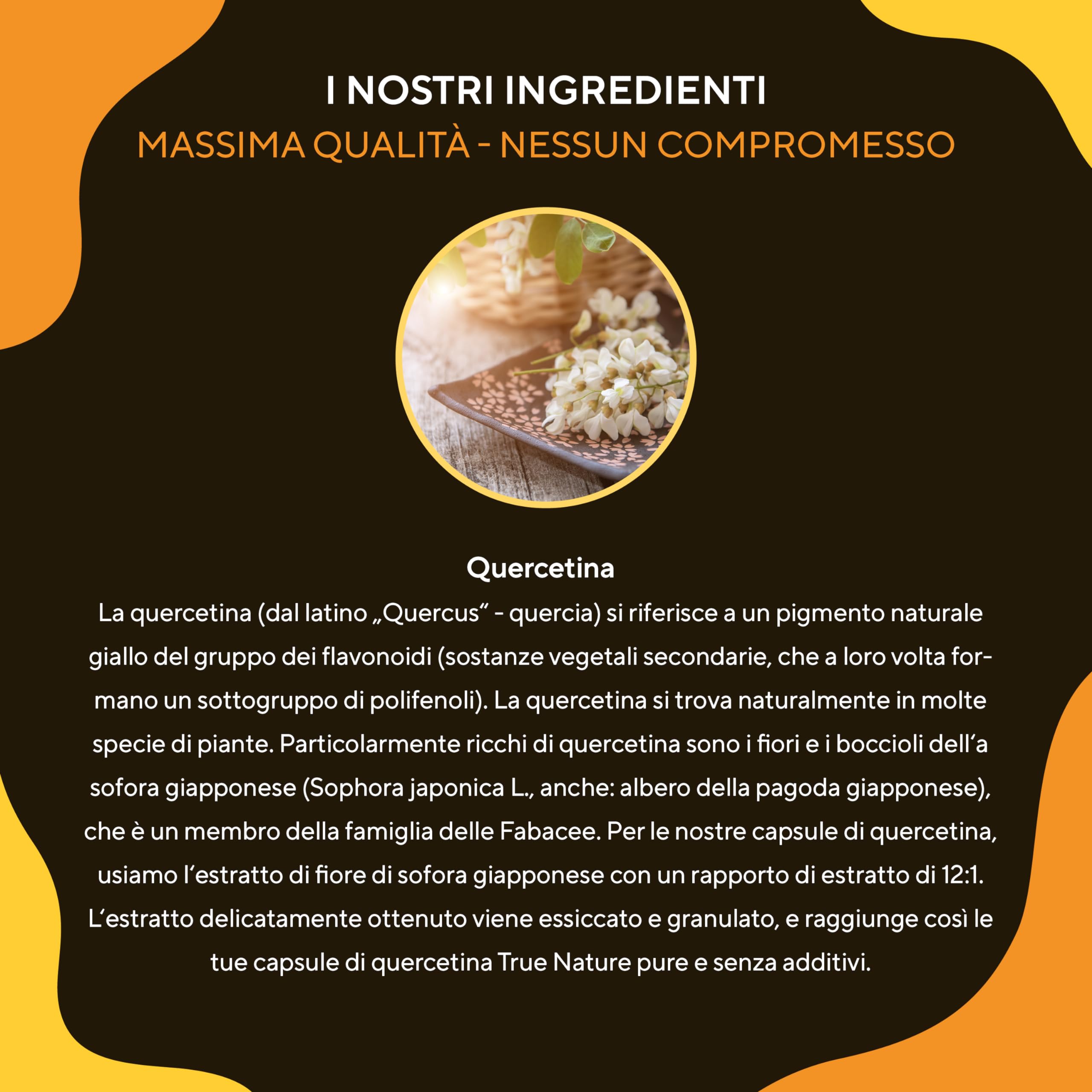 Quercetina 500mg pura - 240 Capsule - Vegan - Produzione tedesca - Materia prima premium: estratto di fiori di Sophora japonica - Testato in laboratorio, altamente dosato - TRUE NATURE®