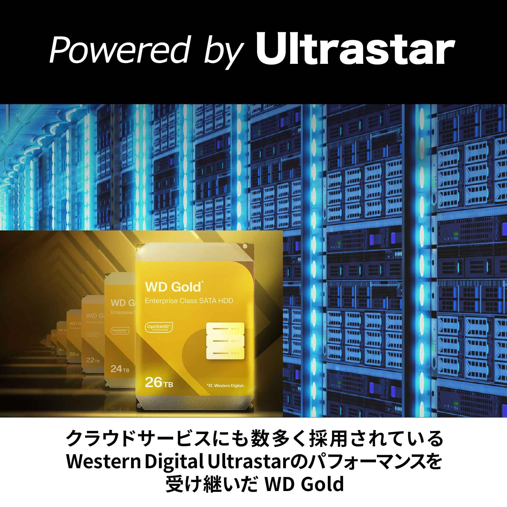 [送料無料] ウエスタンデジタル WD Gold HDD WD161KRYZ Amazon | WD161KRYZ [WD Gold (16TB 3.5インチ SATA 6G 7200rpm