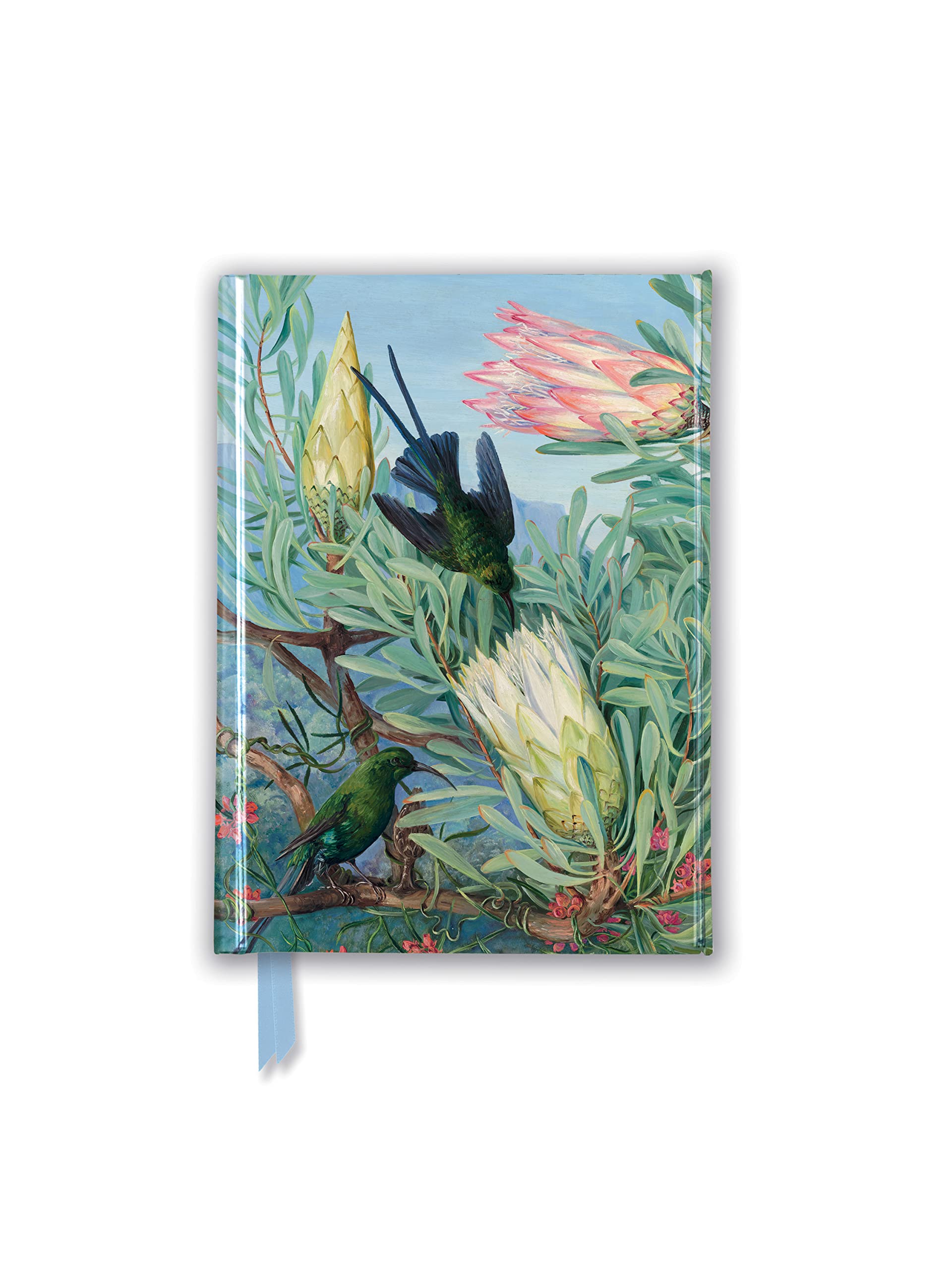 Kew Gardens: Marianne North: Honeyflowers and Honeysuckers (Foiled Pocket Journal) (Flame Tree Pocket Notebooks)