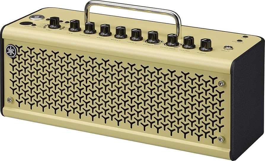 Amazon.co.jp: YAMAHA ヤマハ - ギターアンプ THR10 II + 専用