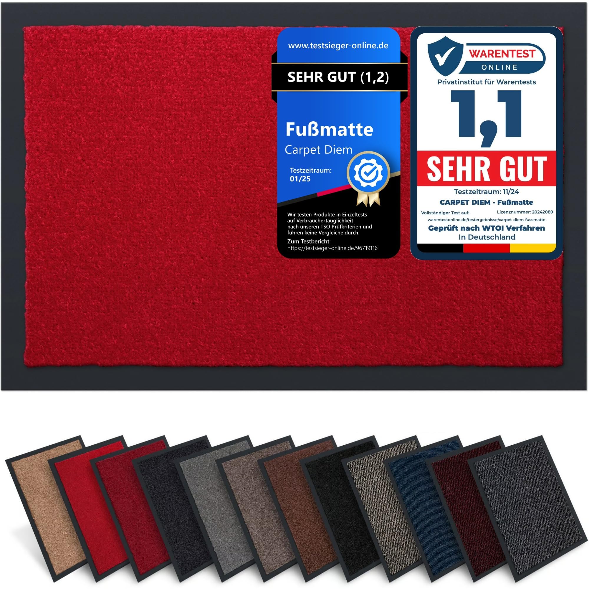 Carpet Diem Fußmatte, einfach sauber I Schmutzfangmatte Eingangsbereich - Fussmatte Innen & Außen, rutschfeste Türmatte, Schmutzfang Teppich für Haustür I Fußabtreter in Rot 90x150 cm