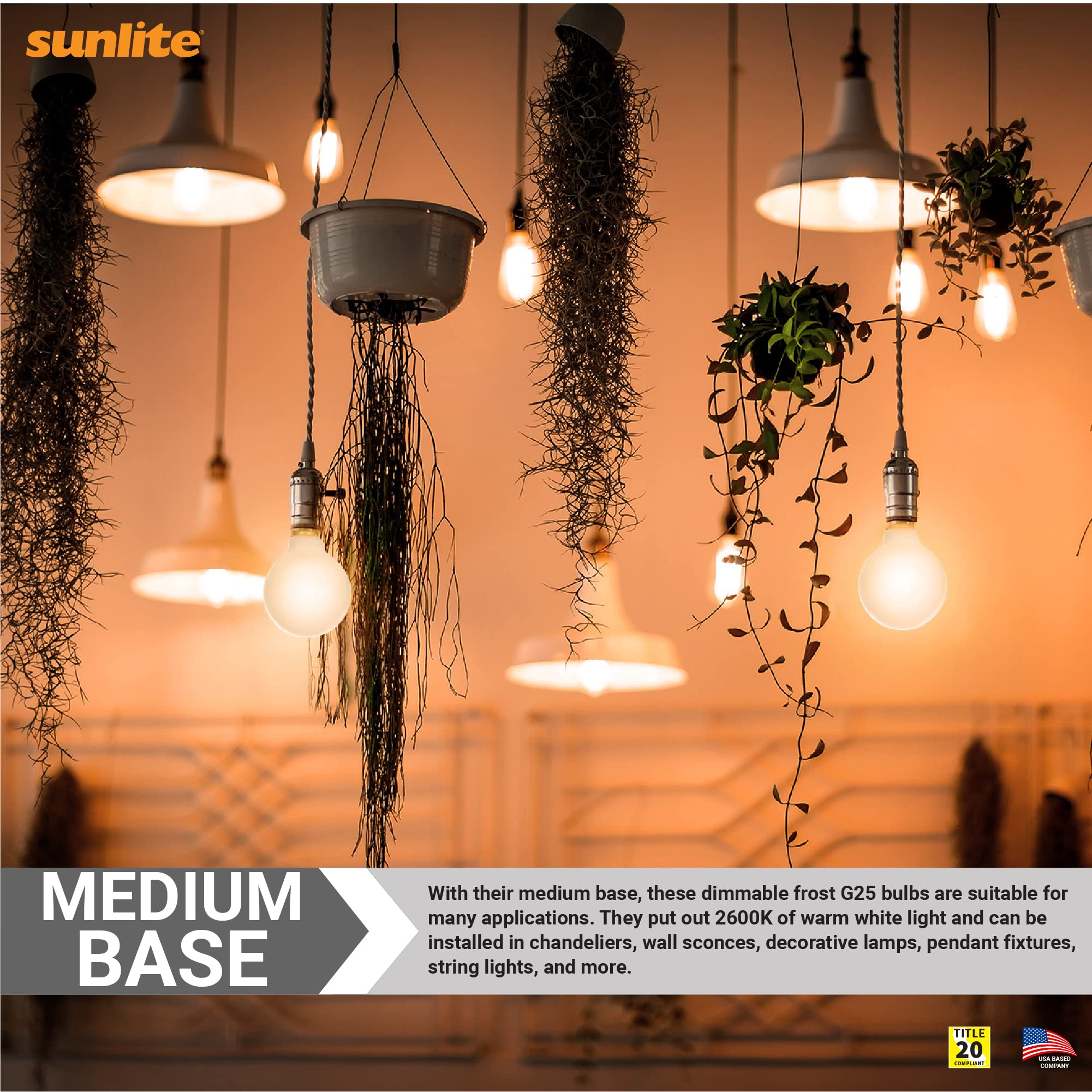 A Guide To Christmas Light Bulb Size Chart, 47 OFF