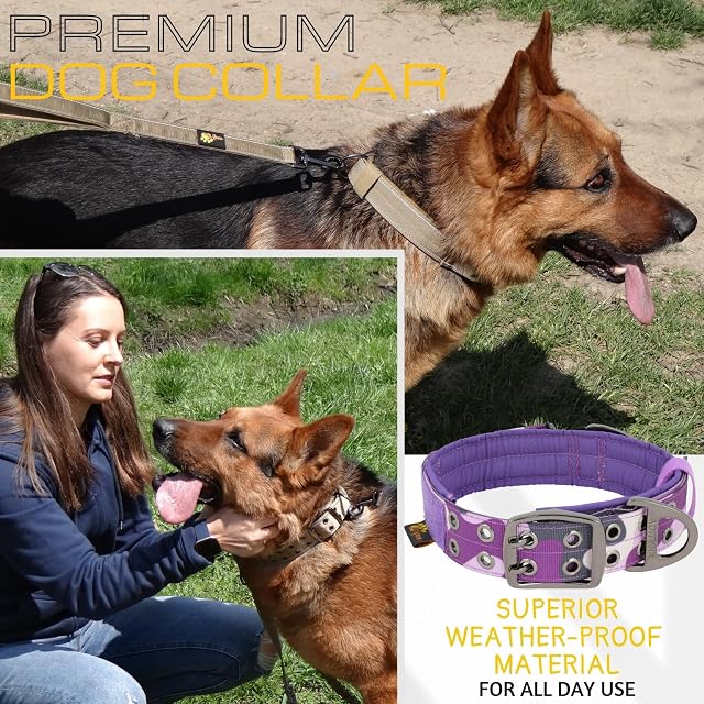 Foto 5 de 8 de ADITYNA - Collar de perro resistente con asa - Collar de perro morado camuflaje para perros grandes