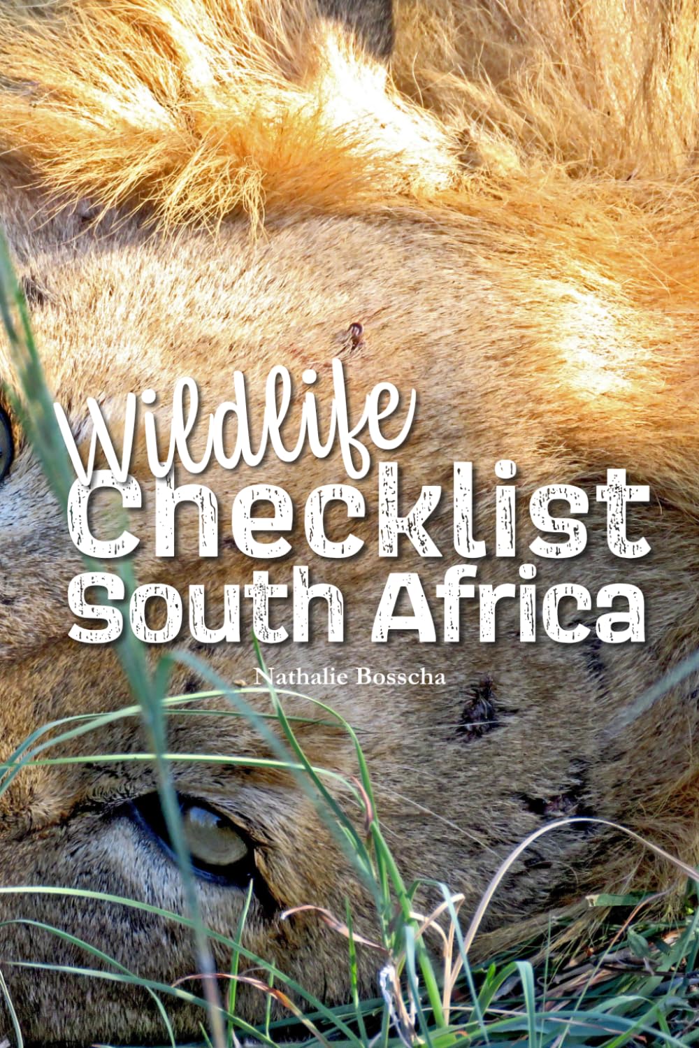 Wildlife Checklist: discover South Africa's iconic animals