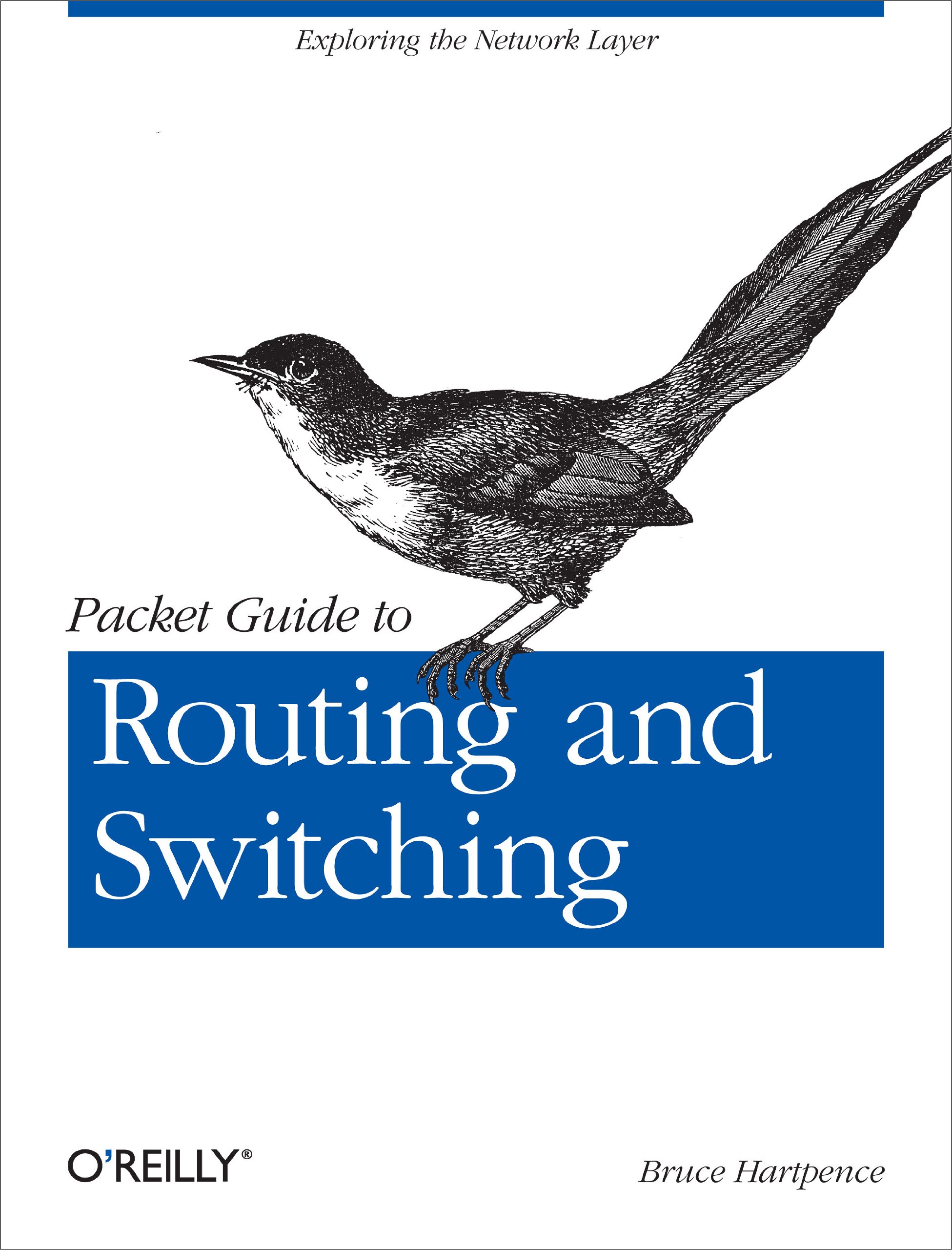 Packet Guide to Routing and Switching: Exploring the Network Layer (OREILLY AND ASSOCIATE)