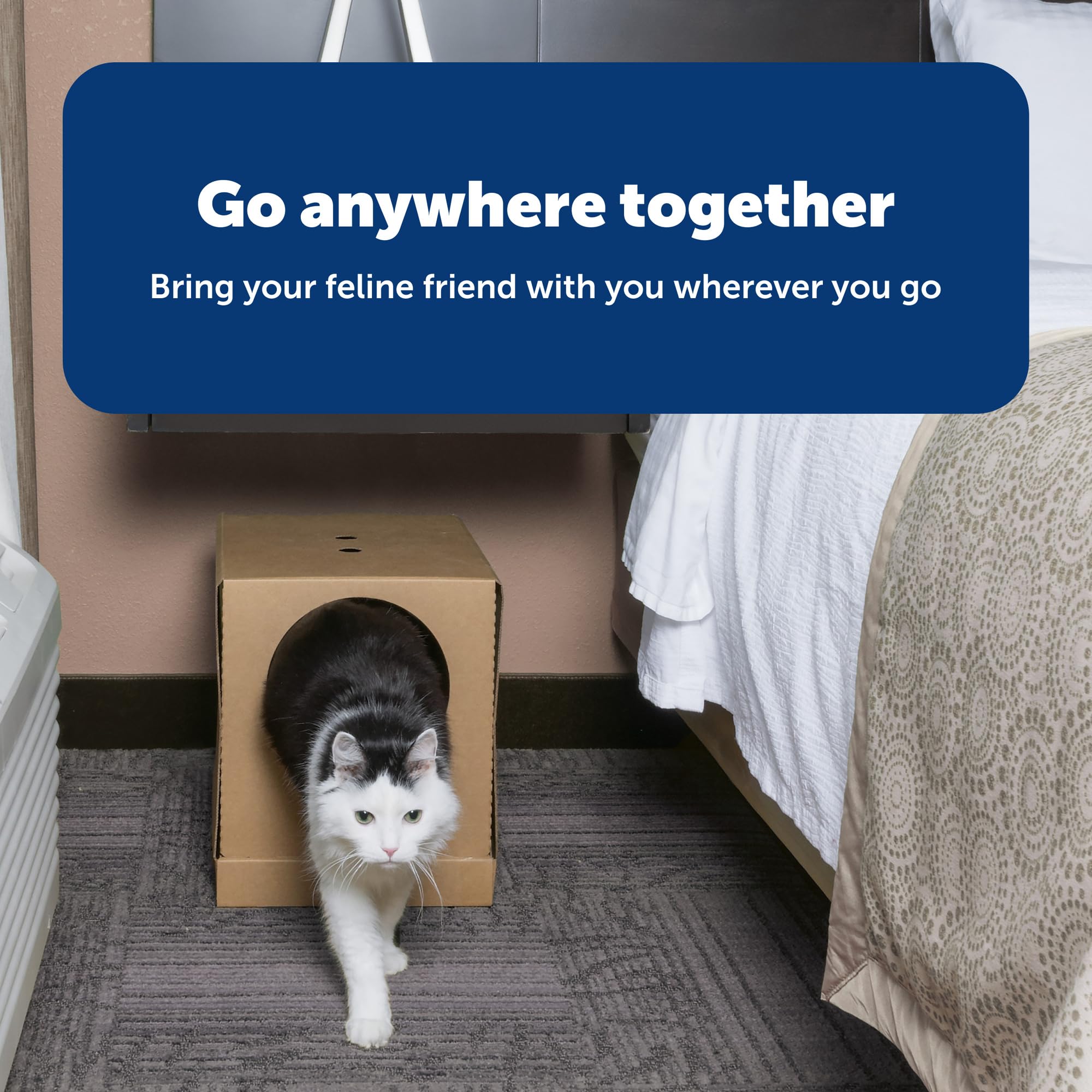 PetSafe Caja de Arena desechable para Gatos, diseño Plegable Cubierto para Viajes, de The Makers of ScoopFree, Caja de Arena autolimpiable, Incluye Arena para Gatos de Cristal Azul Original de 4.4