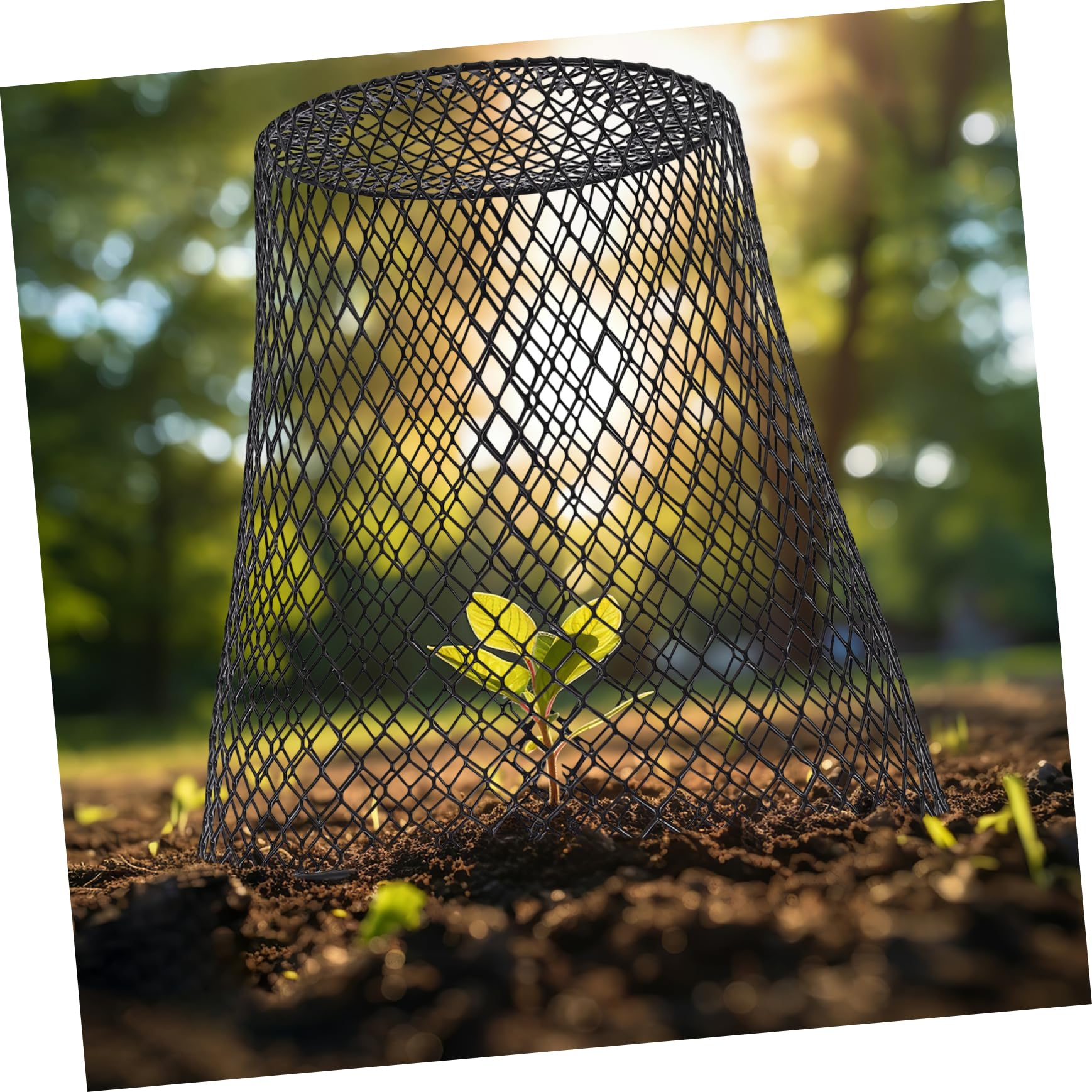 CLISPEED Pack Pflanzen Schutzhauben aus Eisen Schwarz für Garten