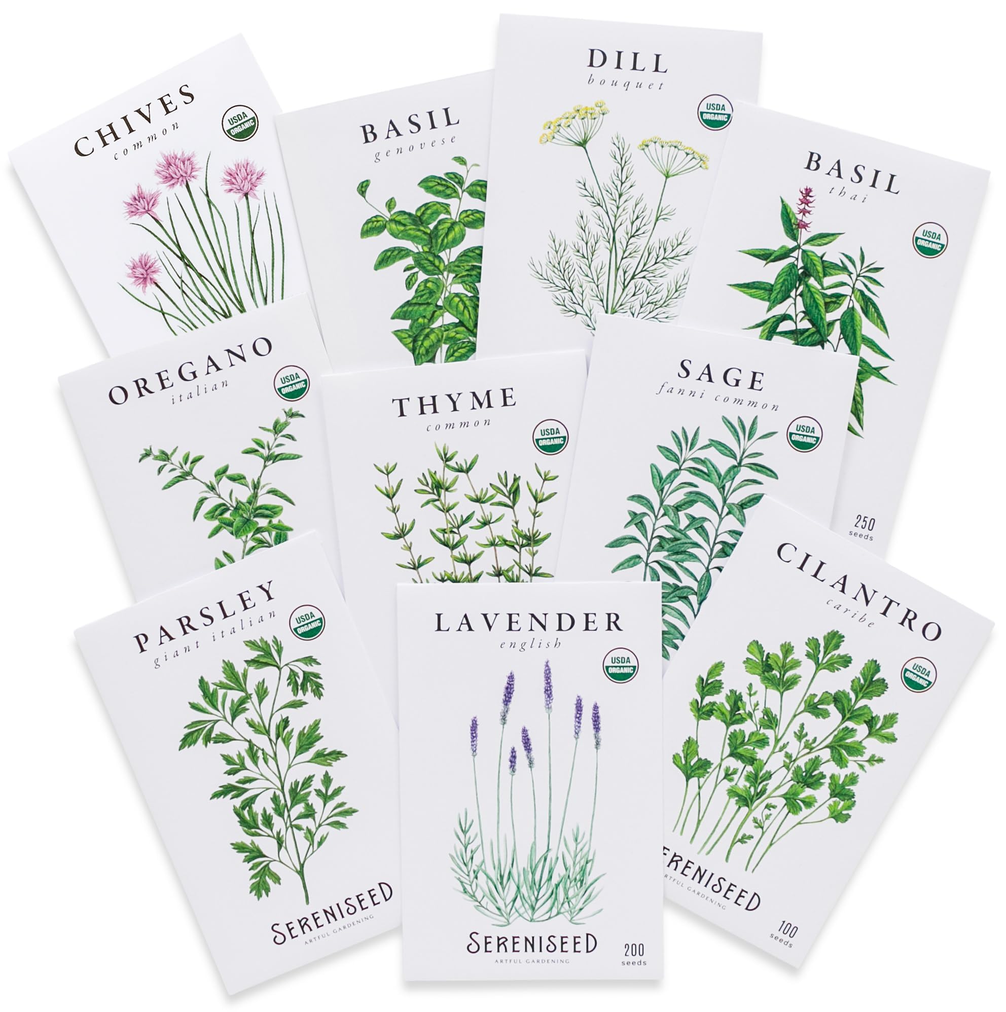 Sereniseed Certified Organic Herb Seeds (Pack of 10) - GMO, Heirloom - Seed Start Video - Basil, Coriander, Oregano, Thyme, Parsley, Lavender, Chives, Sage, Dill Seeds for Indoor and-picture-24