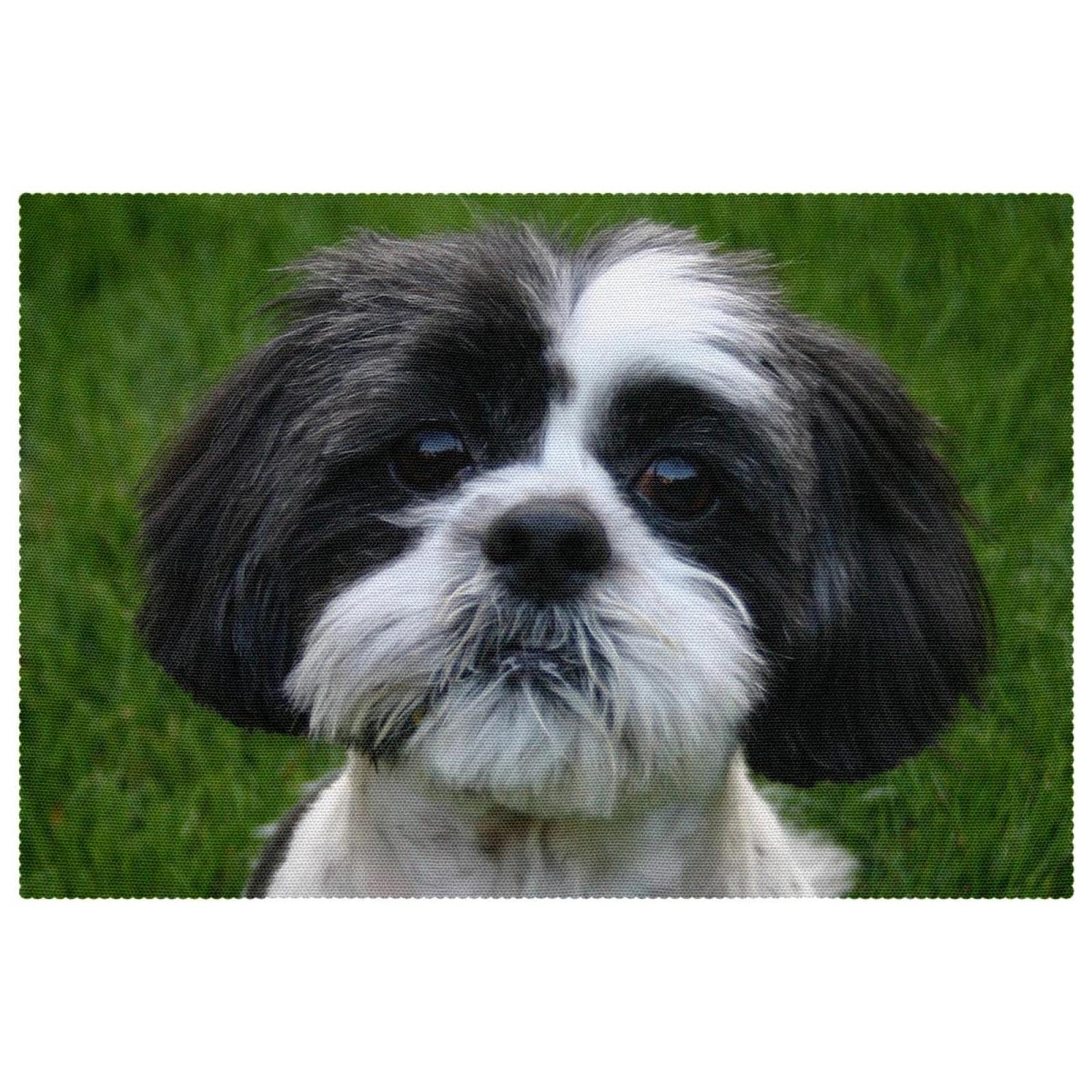 Set de table antidérapant Shih Tzu 30,5 x 45,7 cm résistant à la chaleur