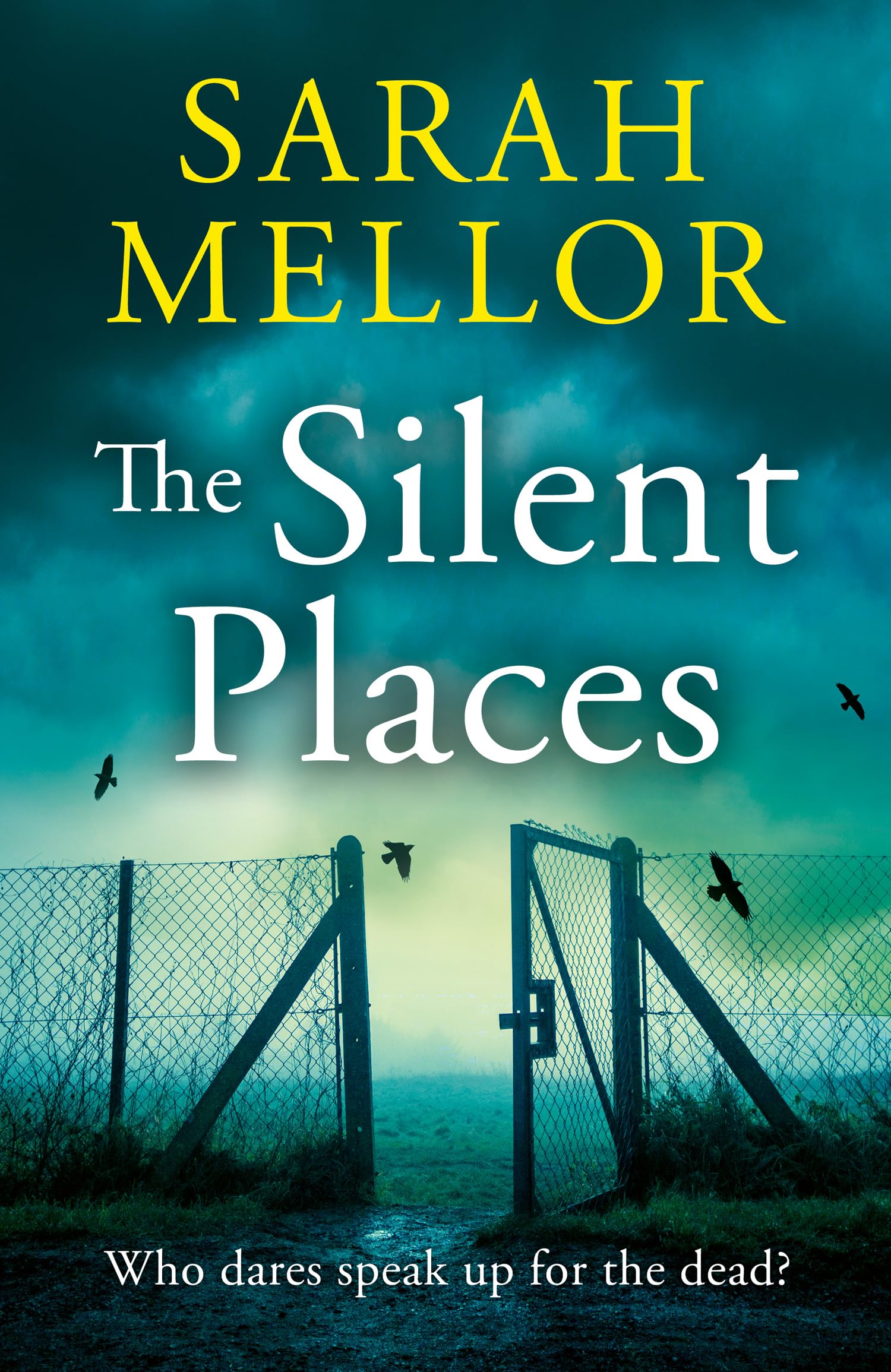 The Silent Places: A Liverpool set crime thriller with a twist – the most gripping novel you’ll read this year
