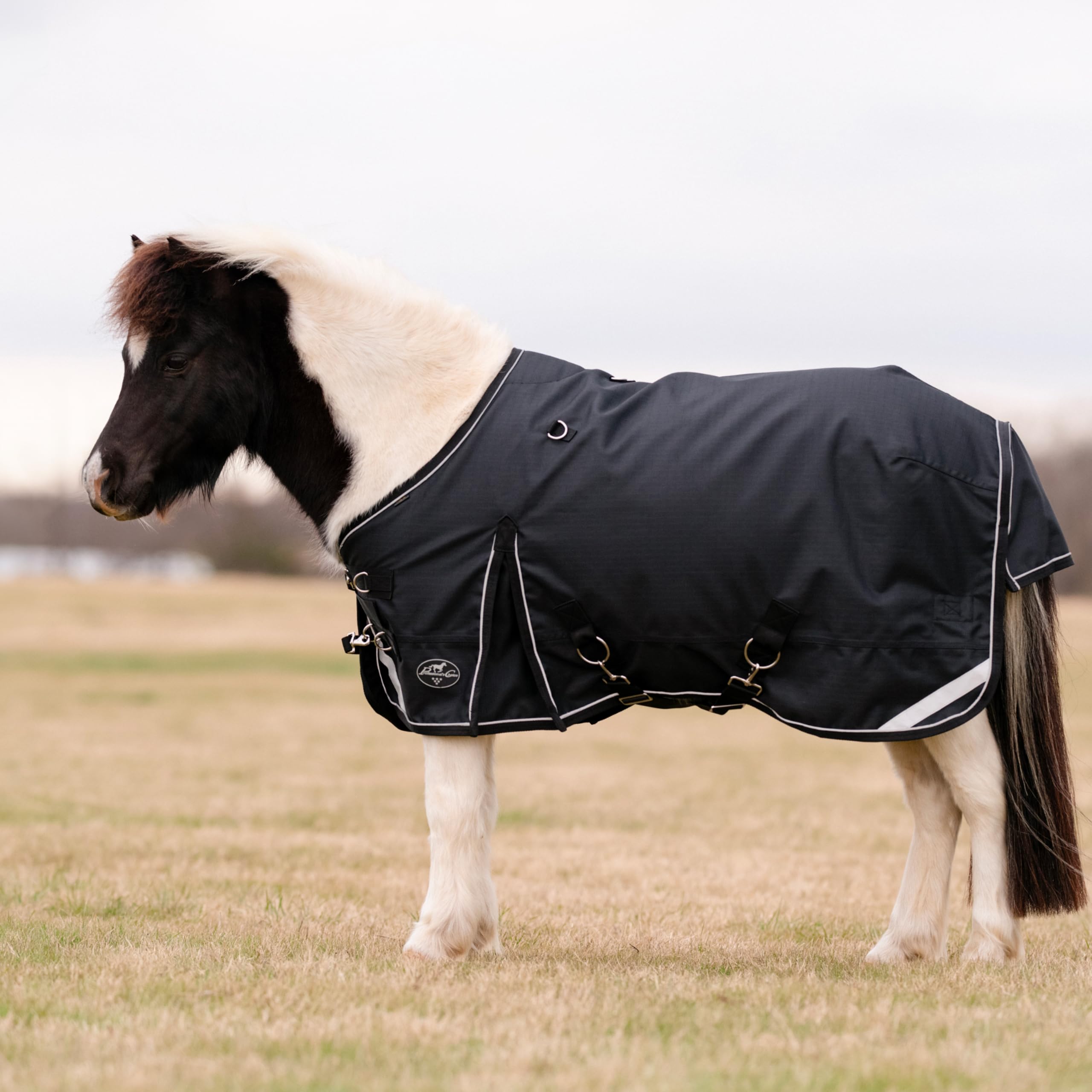 Amazon.com : Professionals Choice Black 1200D Mini Horse Winter