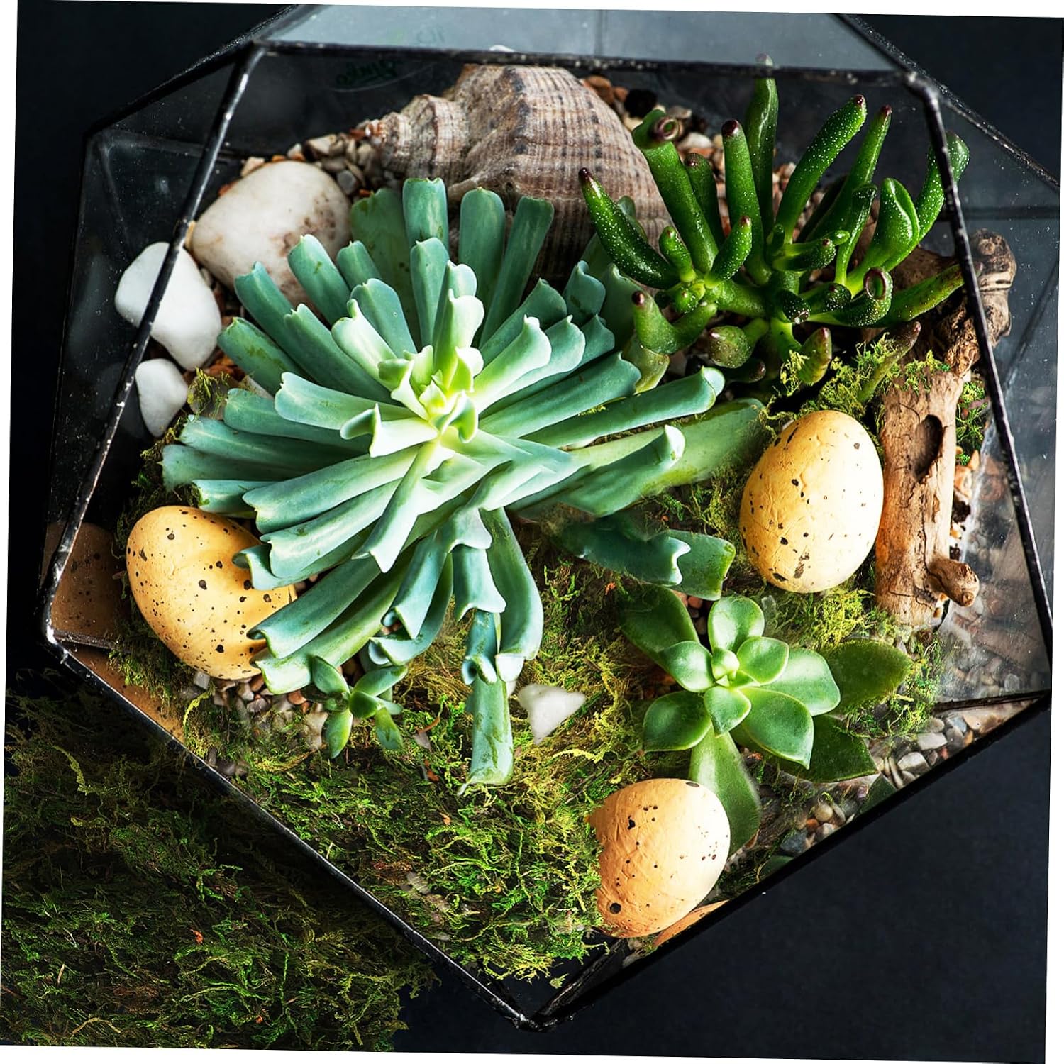 Alipis 200g Faux Moss for Crafts and Decor Green Stained Artificial Moss for Potted Plants Wreaths and Projects Easy to Maintain Versatile Indoor Decoration