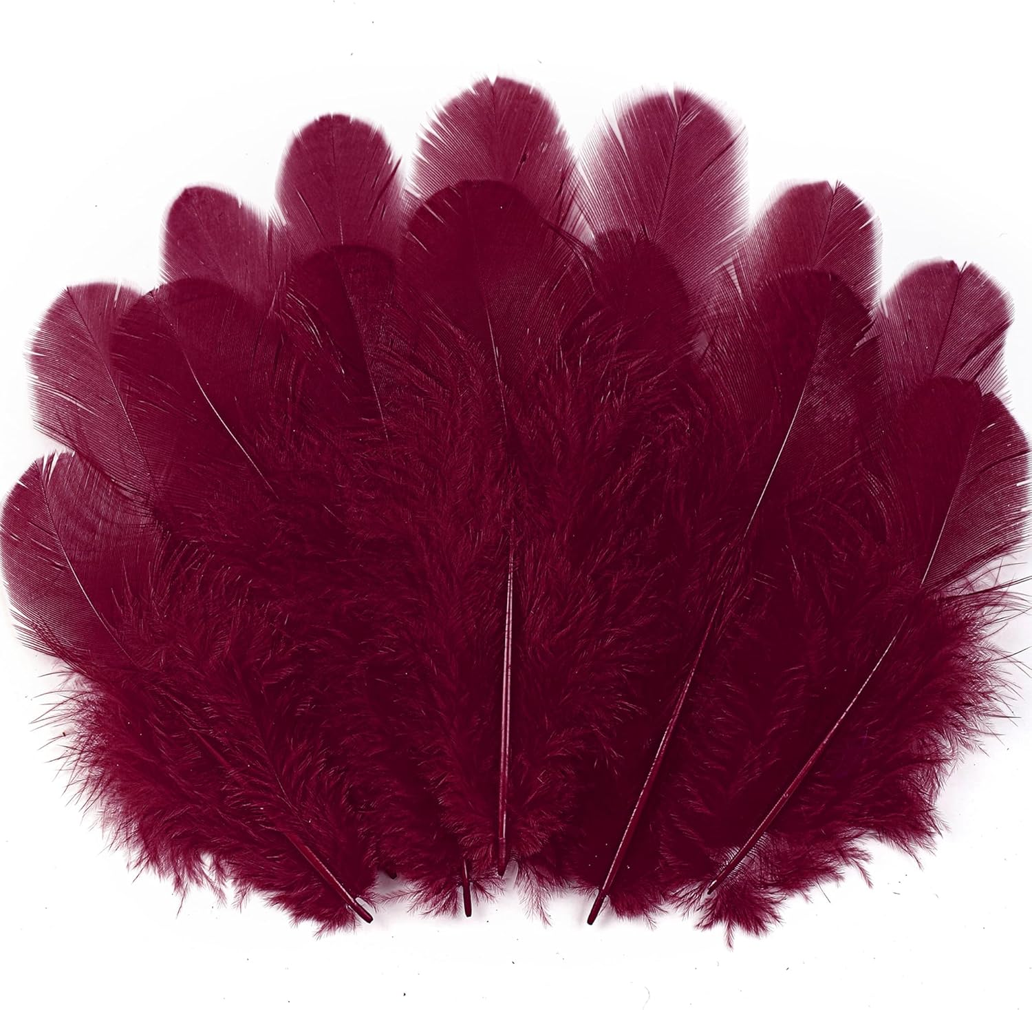 Soarer 300pcs Burgundy Rooster Feathers Bulk - 3-5inch Craft Feathers for Wedding Home Party, Dream Catcher Supplies and DIY Crafts(Burgundy)