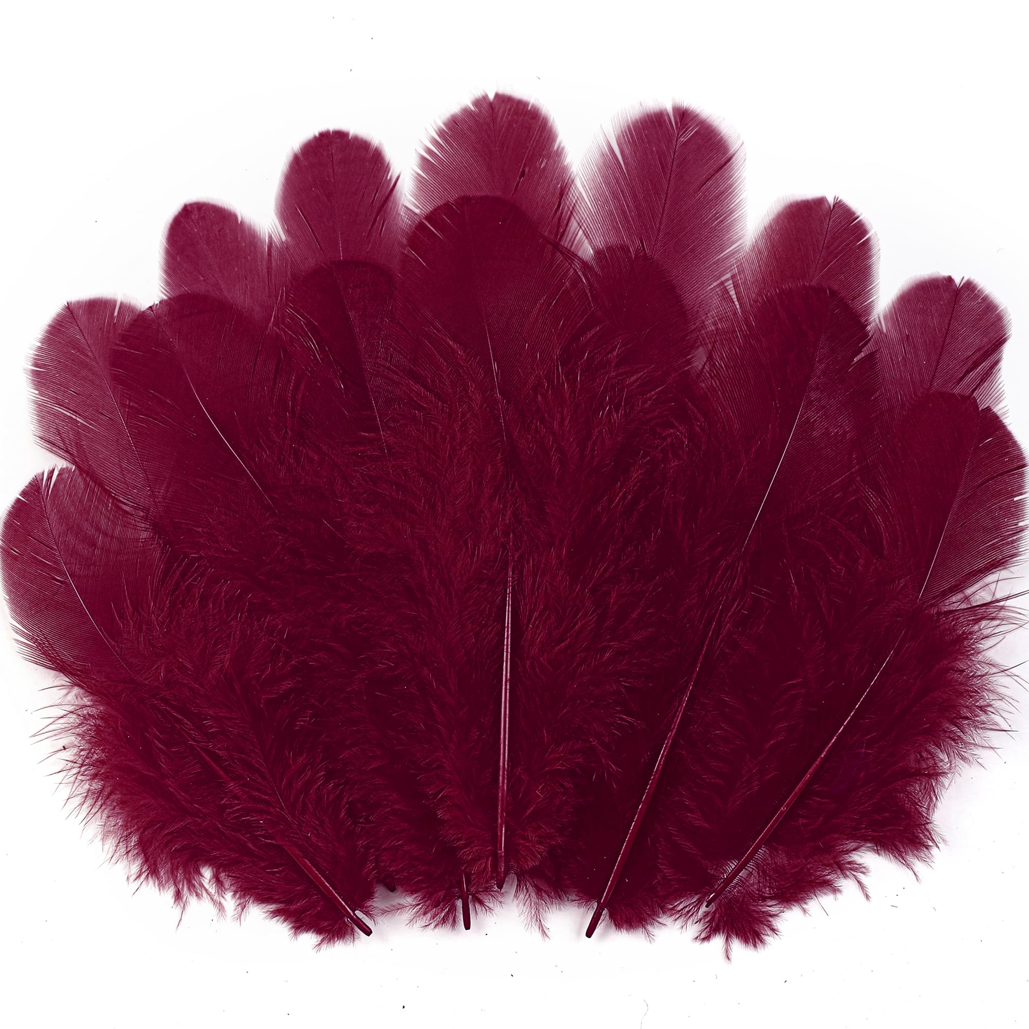 Soarer 300pcs Burgundy Rooster Feathers Bulk - 3-5inch Craft Feathers for Wedding Home Party, Dream Catcher Supplies and DIY Crafts(Burgundy)