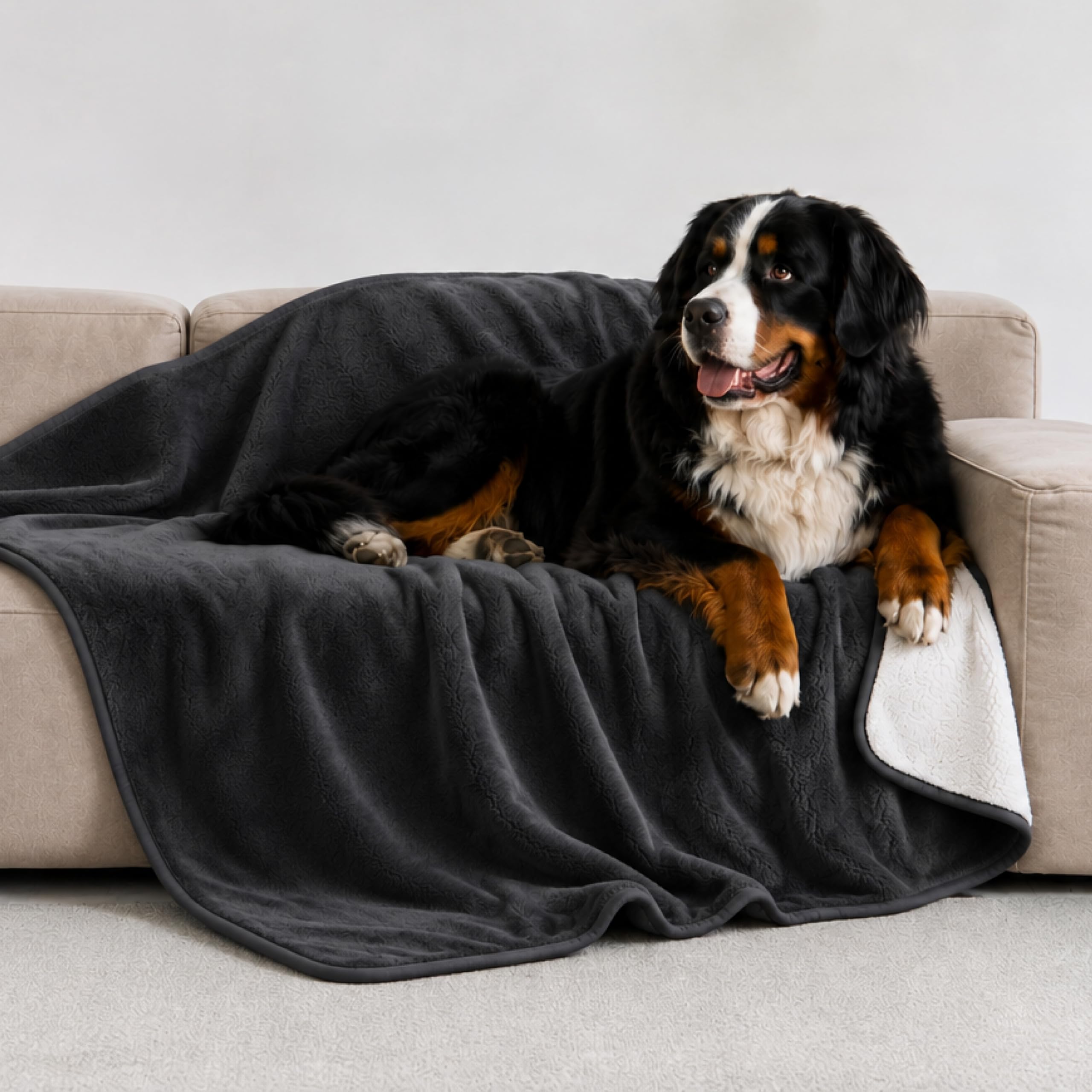 Twinzen Coperta Impermeable Cani 100x120 cm - Copridivano Pile Sherpa | Grigio Scuro · Reversibile · Lavabile · Per Divano e Letto · Proteggi Mobili · Cane & Gatto