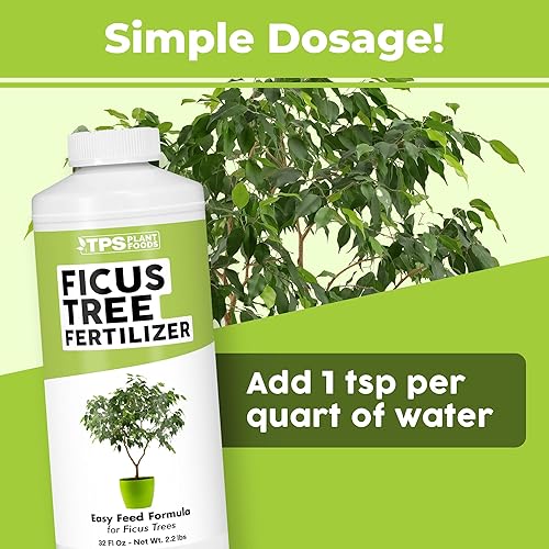 Miniatura 7 de Fertilizante de árbol de ficus para todas las plantas de ficus, higo y moraceae, alimento líquido para plantas, 8 oz (8.5 fl oz)