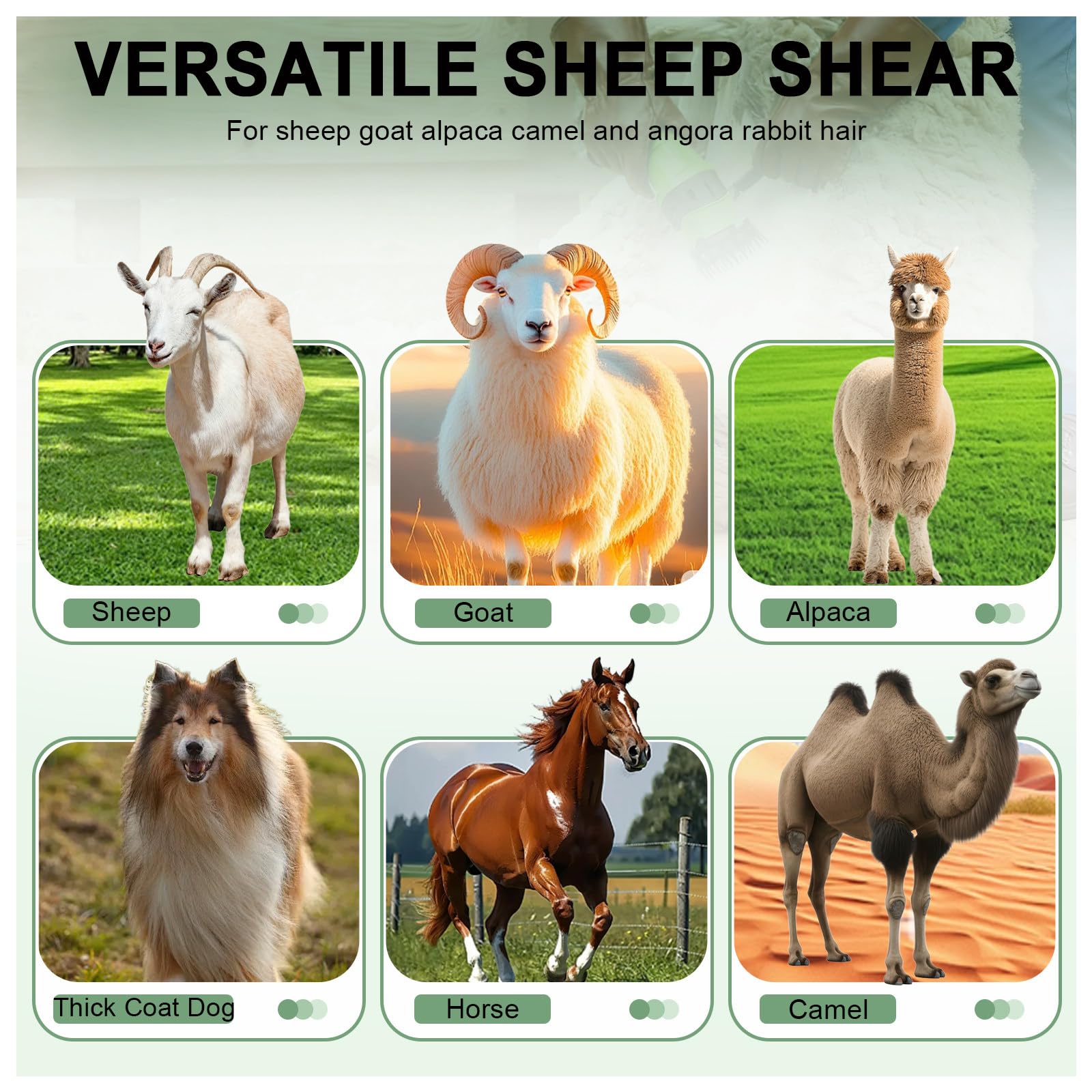 Tosatrice elettrica Professionale Senza Fili per Pecore, Tosatrice per Pecore per impieghi gravosi, Kit per la toelettatura del Bestiame da Fattoria per Pecore agnelli, bovini