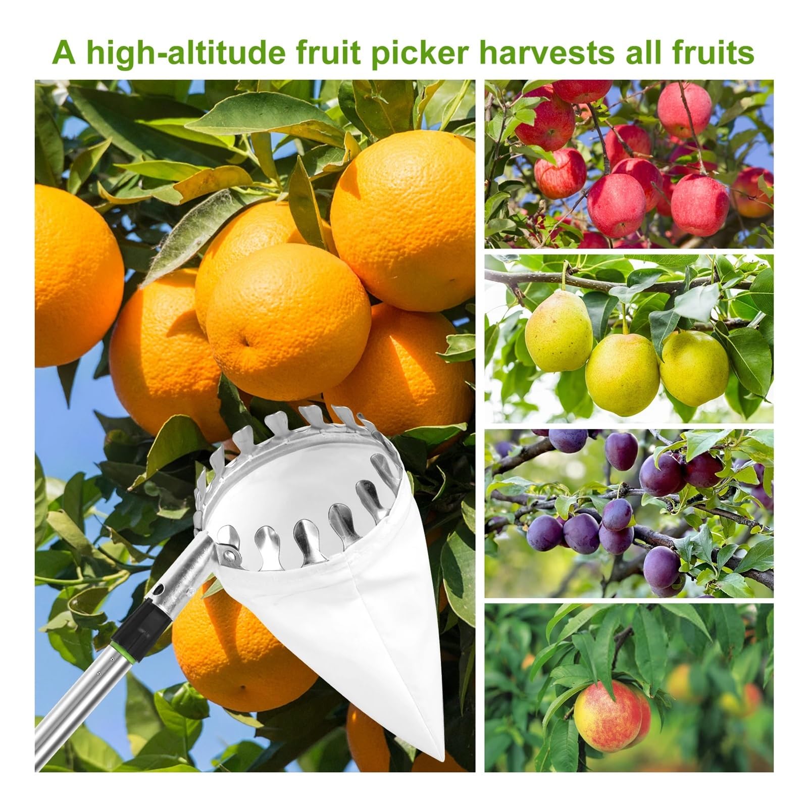 Cueille Fruit Telescopique Outil de cueillette Fruits en métal 3,2 m, Outil vergers Jardinage avec Sac Rangement(1.5M)