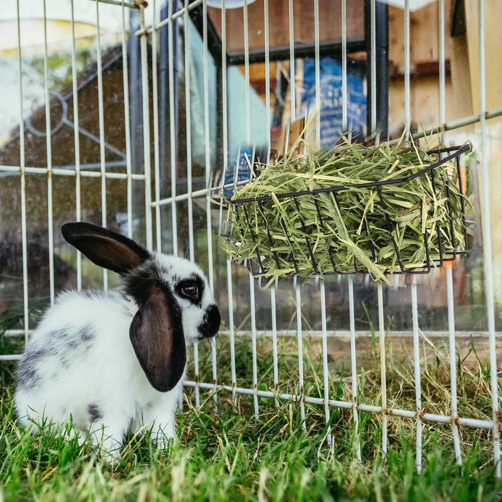 4 comederos de heno para conejos, estante de heno de metal resistente con ganchos, accesorios de jaula de animales pequeños, estante de comedero de heno con marco de metal para conejos,