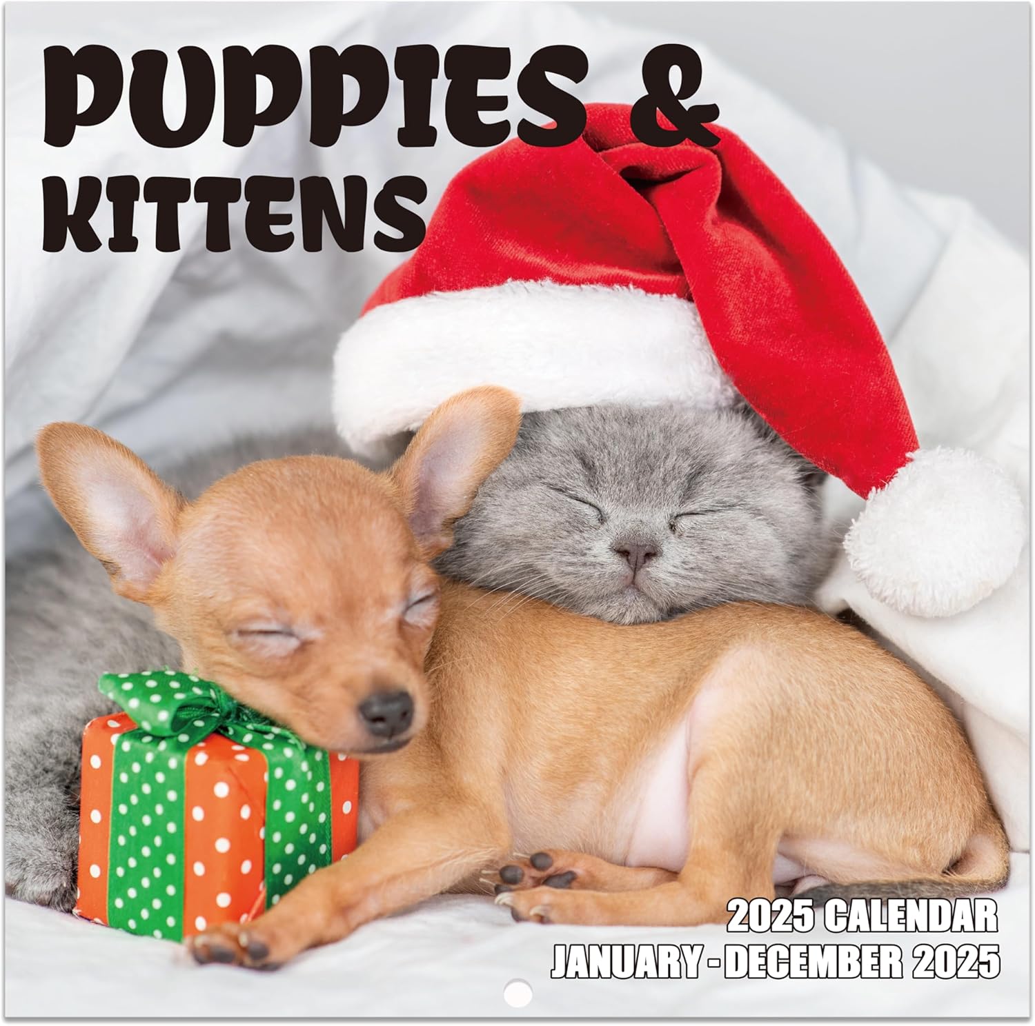 2025 Calendar - Kittens and Puppies Calendar 2025, 12 months from Jan. 2025 - Dec. 2025, 12" x 24" (Open), Monthly Wall Calendar with Thick Paper, Dogs Cats Cute Baby Animals