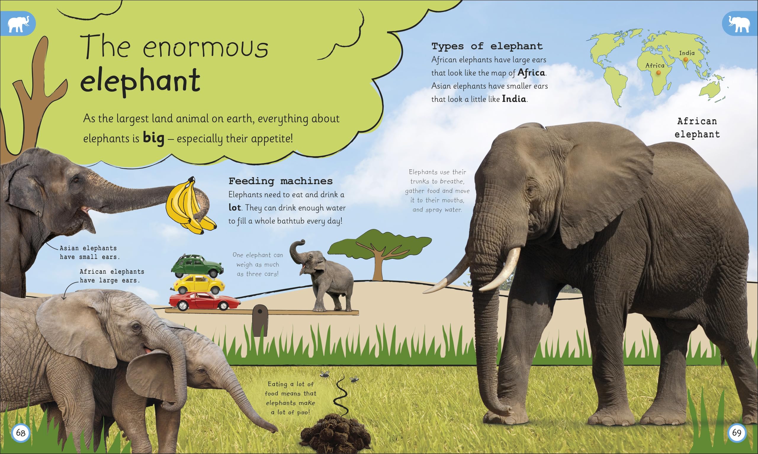 My Encyclopedia of Very Important Animals: For Little Animal Lovers Who Want to Know Everything (My Very Important Encyclopedias)