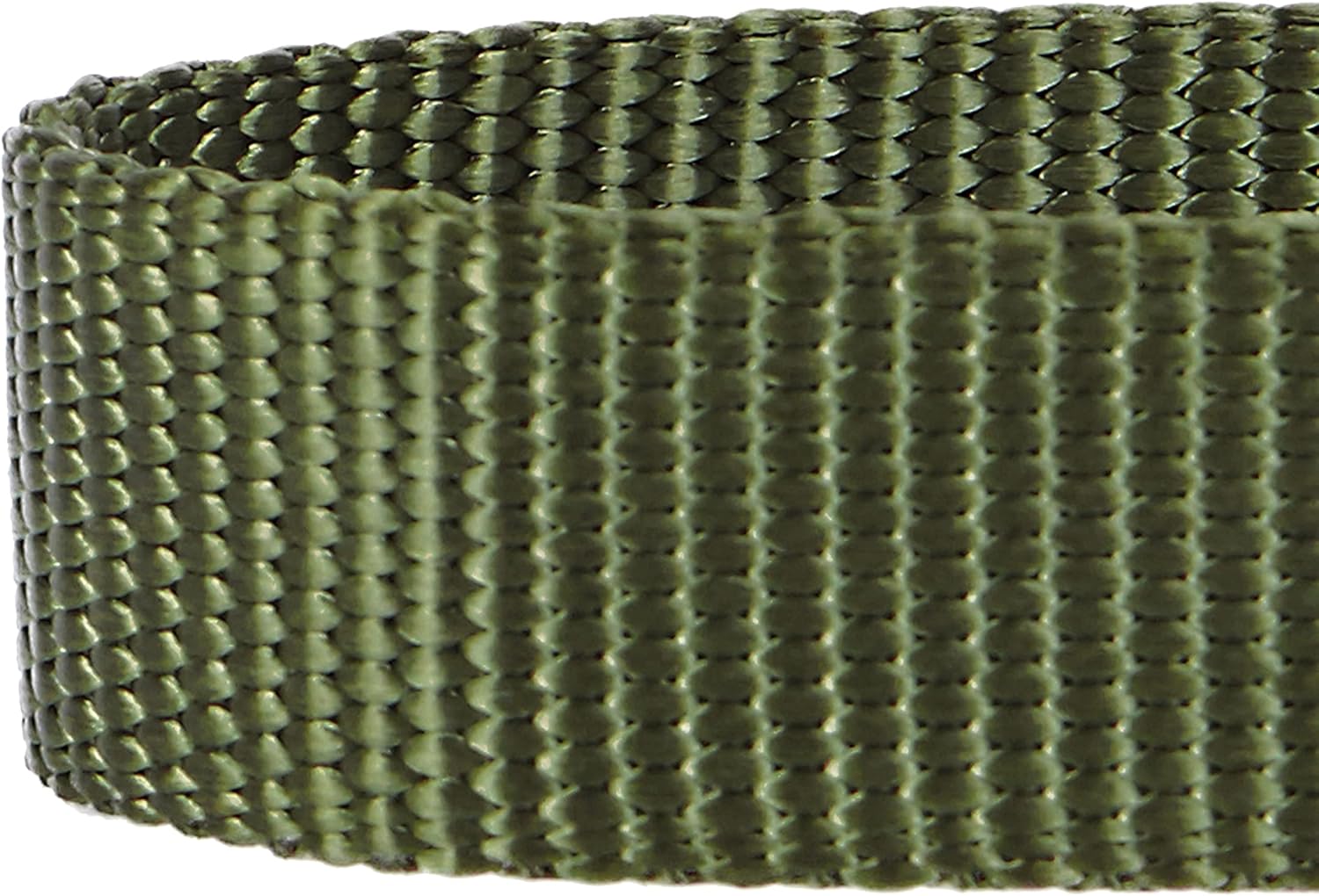 Blueberry Pet Essentials 21 Colors Classic Dog Collar, Military Green, Small, Neck 12"-16", Collars for Dogs : Pet Supplies