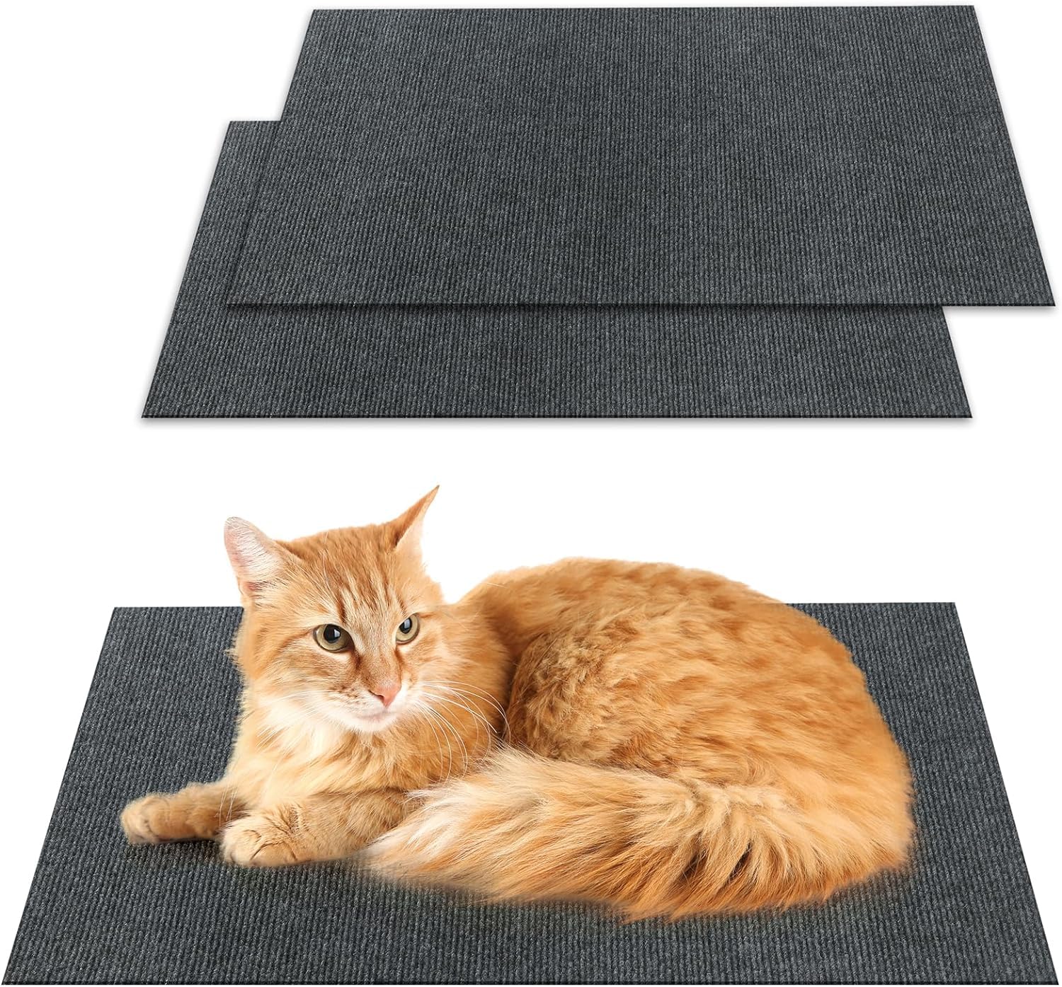 79 * 15.8IN Cat Scratch Pads Mat Carpet Protector,Easy-Cut Highly Viscous Pets Scratch Carpet for Floor Doorway Porch,DIY Floor Mat Prevent Carpets from Scratching or Wearing,6.56ft Cat Pad(Grey)
