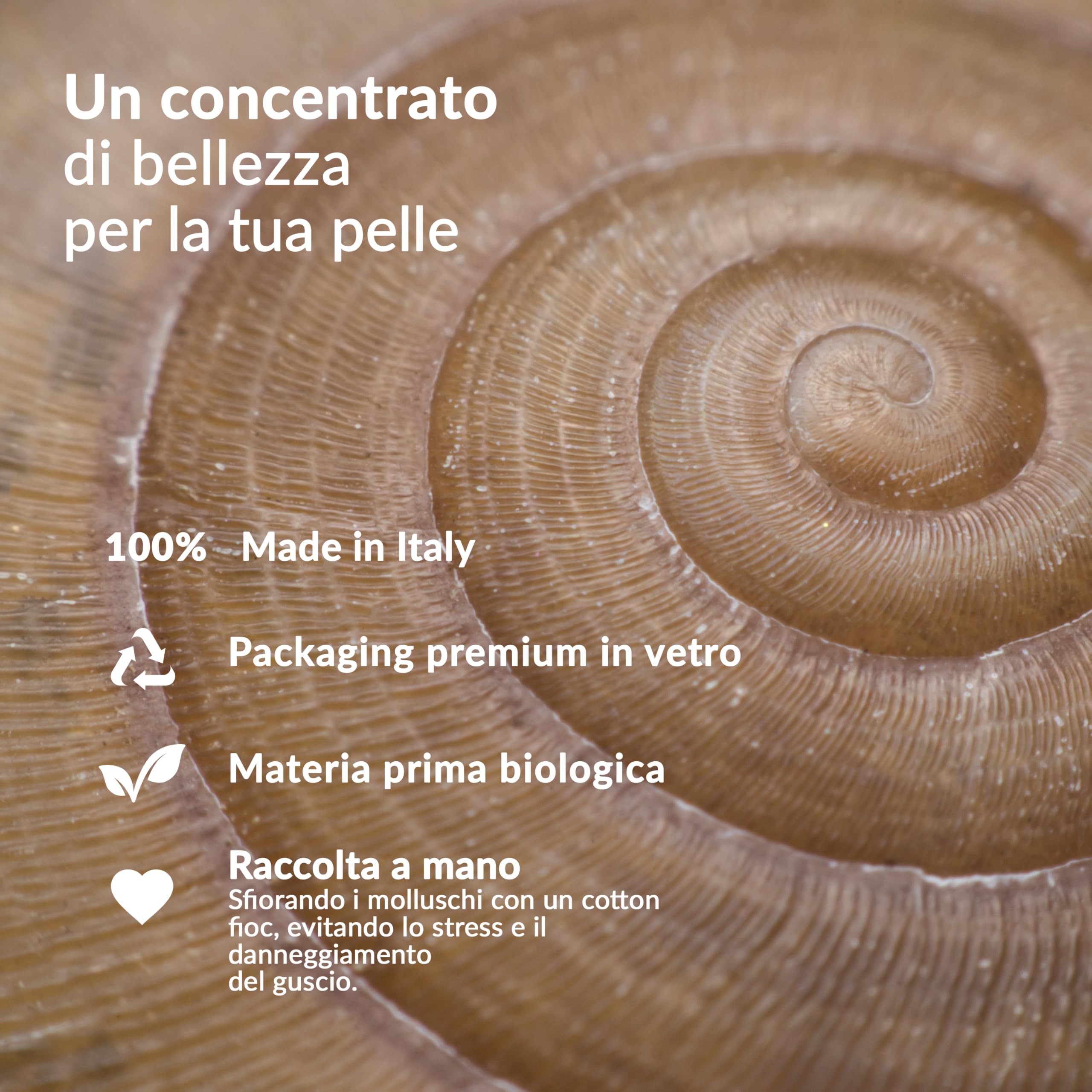 Nuvò – Siero Viso Anti Aging, 30 ml, Contrasta le Rughe, Leviga e Nutre la Pelle, con 80% Bava di Lumaca Bio, Esapeptide-8 e Vitamina E, Adatto per Uomo e Donna, Made in Italy