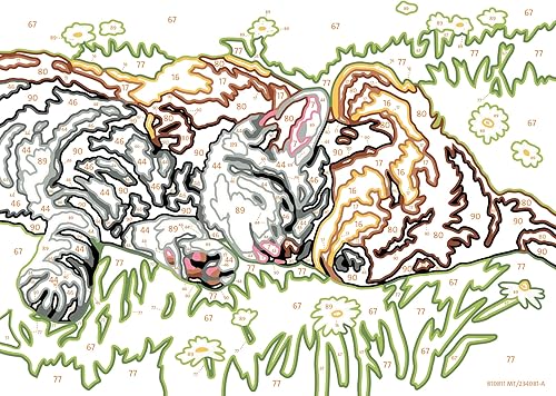 Miniatura 3 de Ravensburger CreArt - Kit de pintura para gatos y perros durmiendo por números, fácil de usar para niños, perfecto para decoración del hogar, regalo
