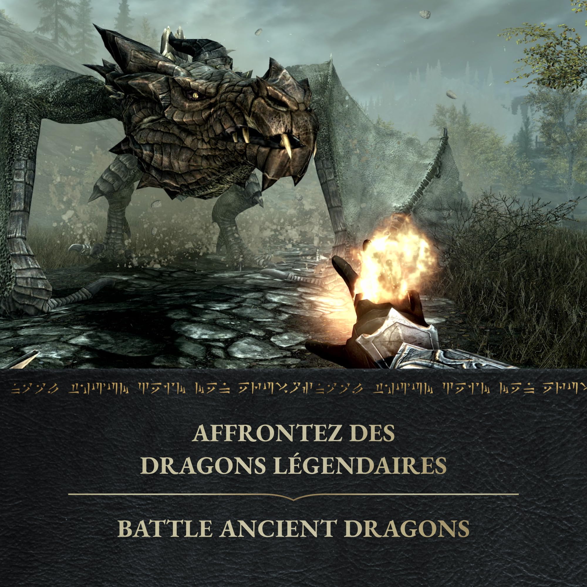 The Elder Scrolls V: Skyrim Anniversary Edition – Nintendo Switch
